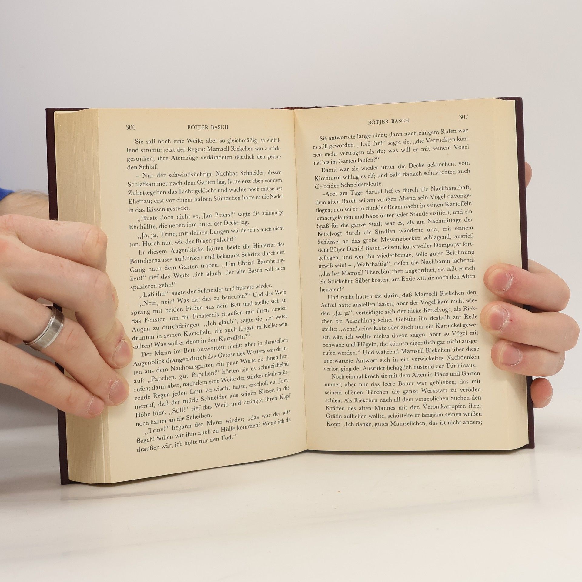 Hans Theodor Woldsen Storm Novellen