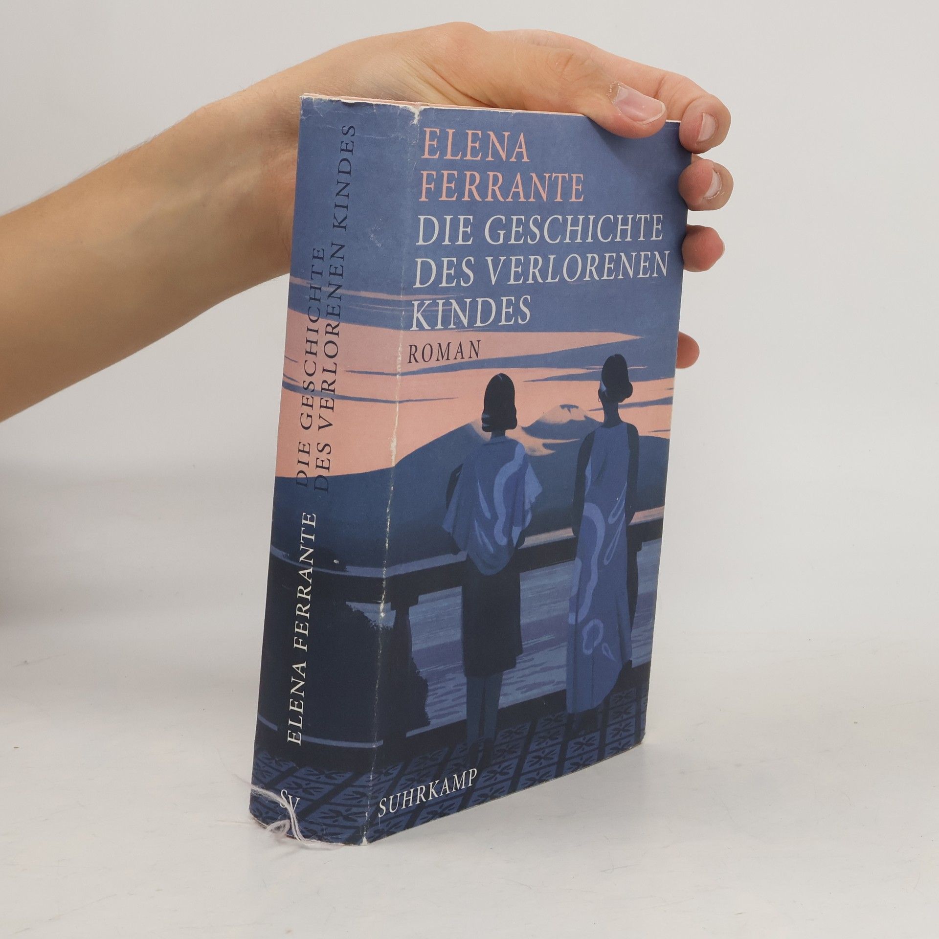 Elena Ferrante Die Geschichte Des Verlorenen Kindes