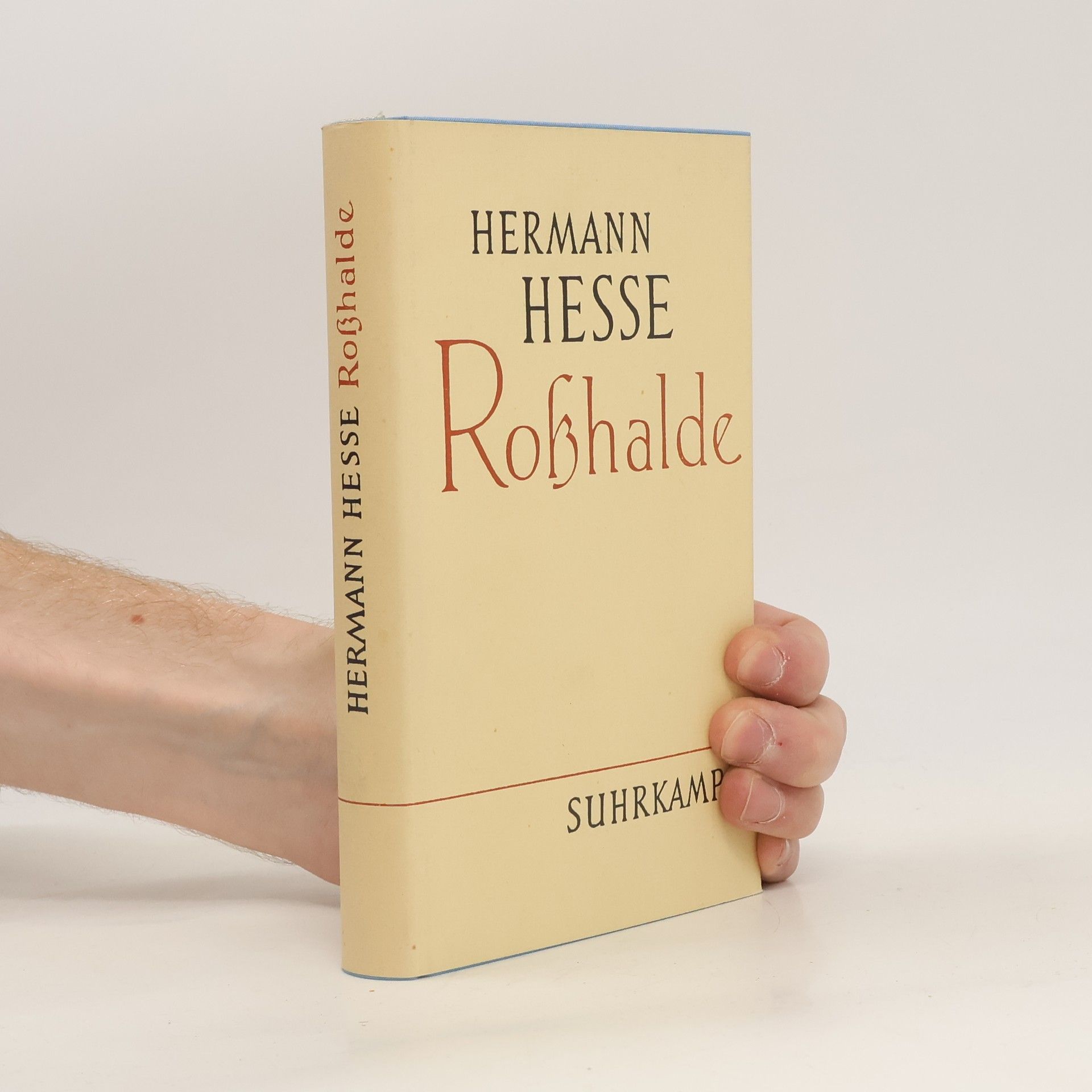 Hermann Hesse Roßhalde