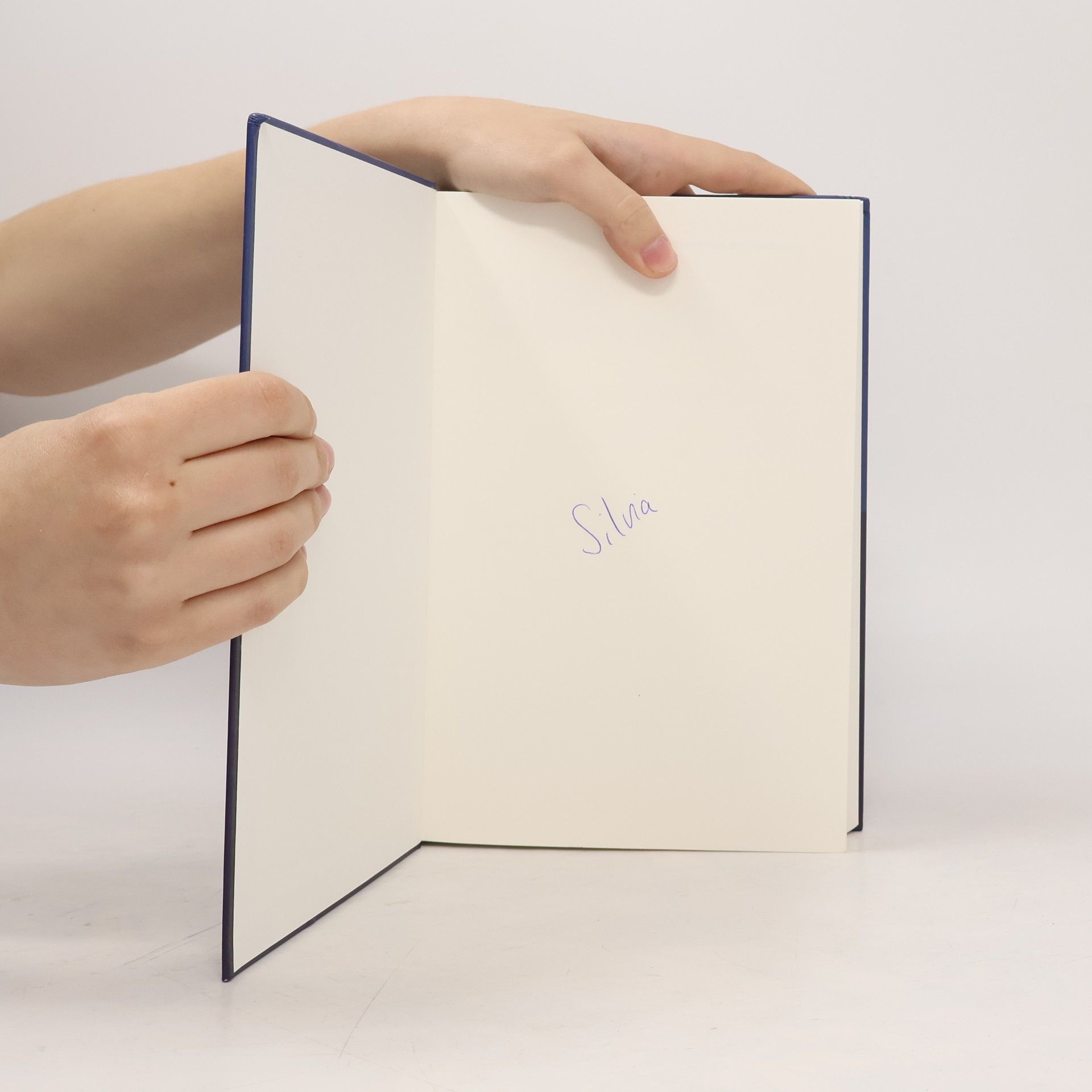 Ralph Scheuss Handbuch der Strategien