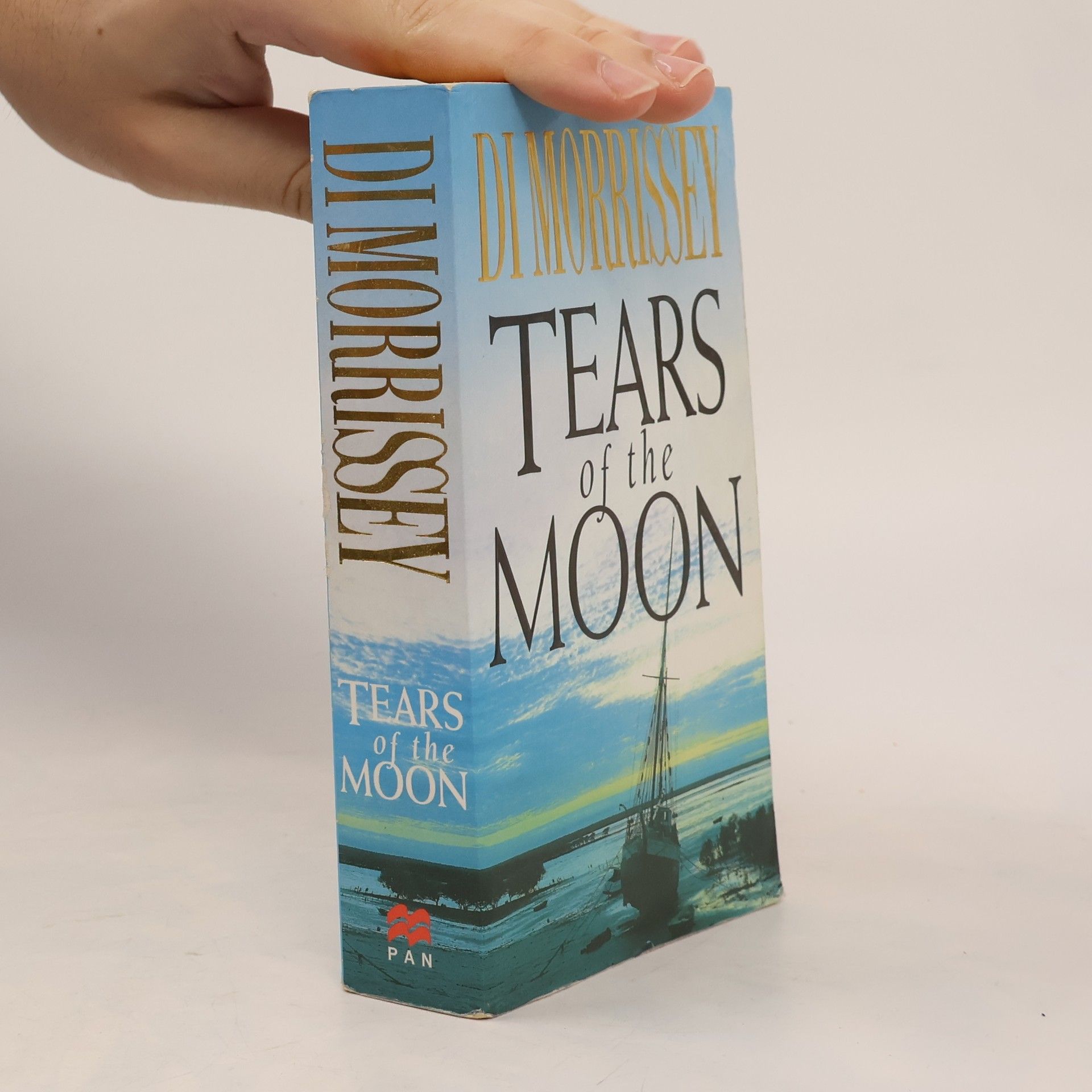 Di Morrissey Tears of the Moon