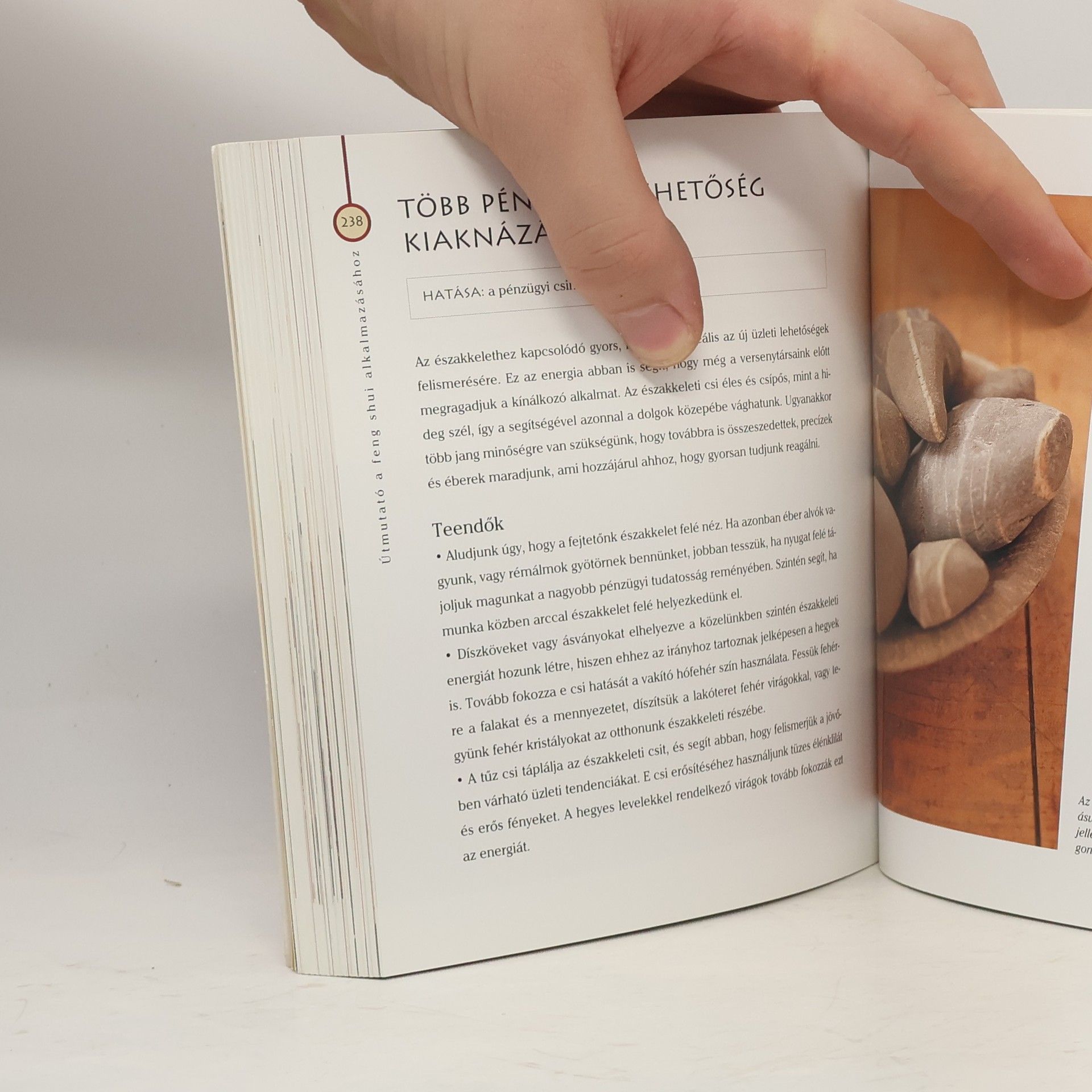 Simon Brown Feng Shui Biblia