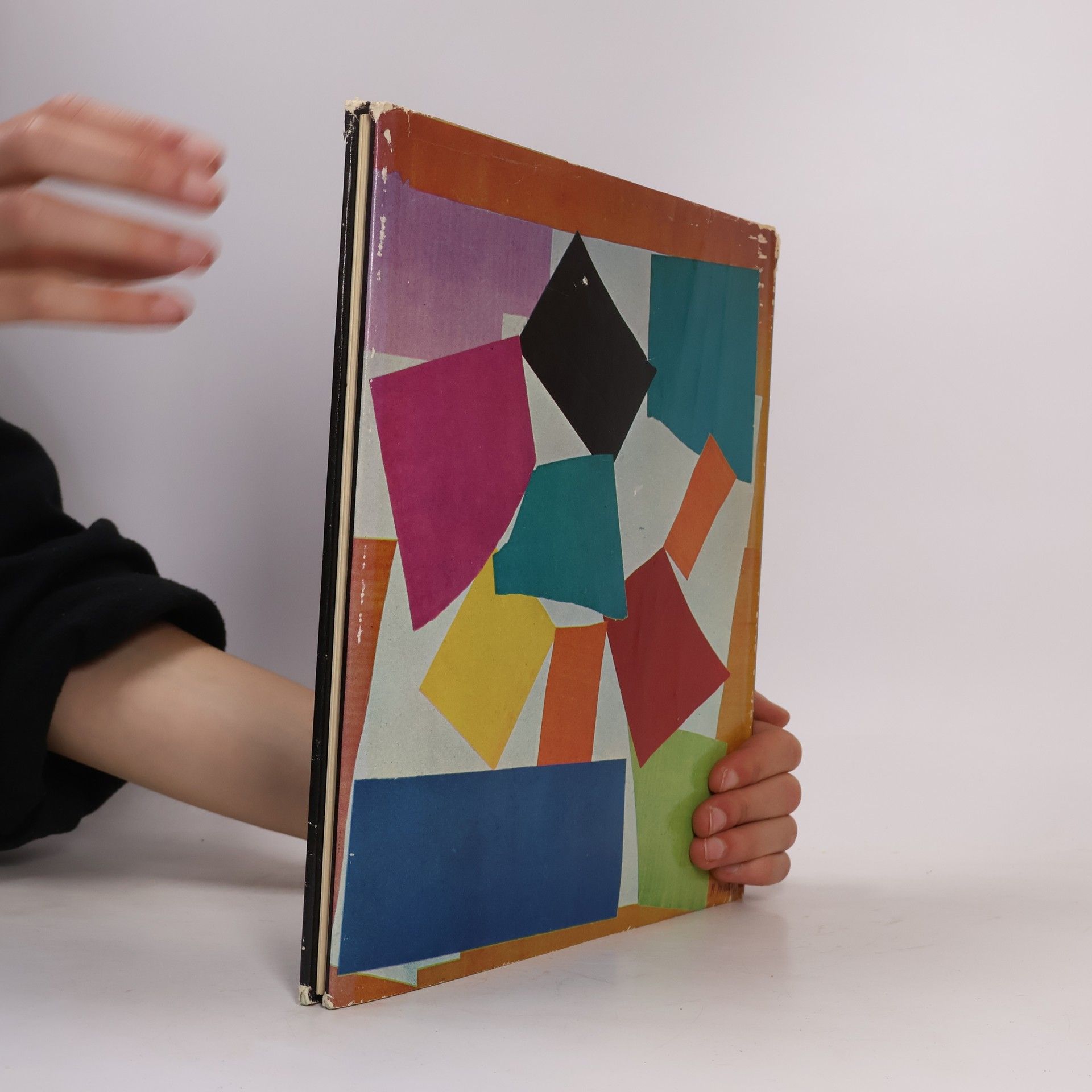 Autorenkollektiv Matisse