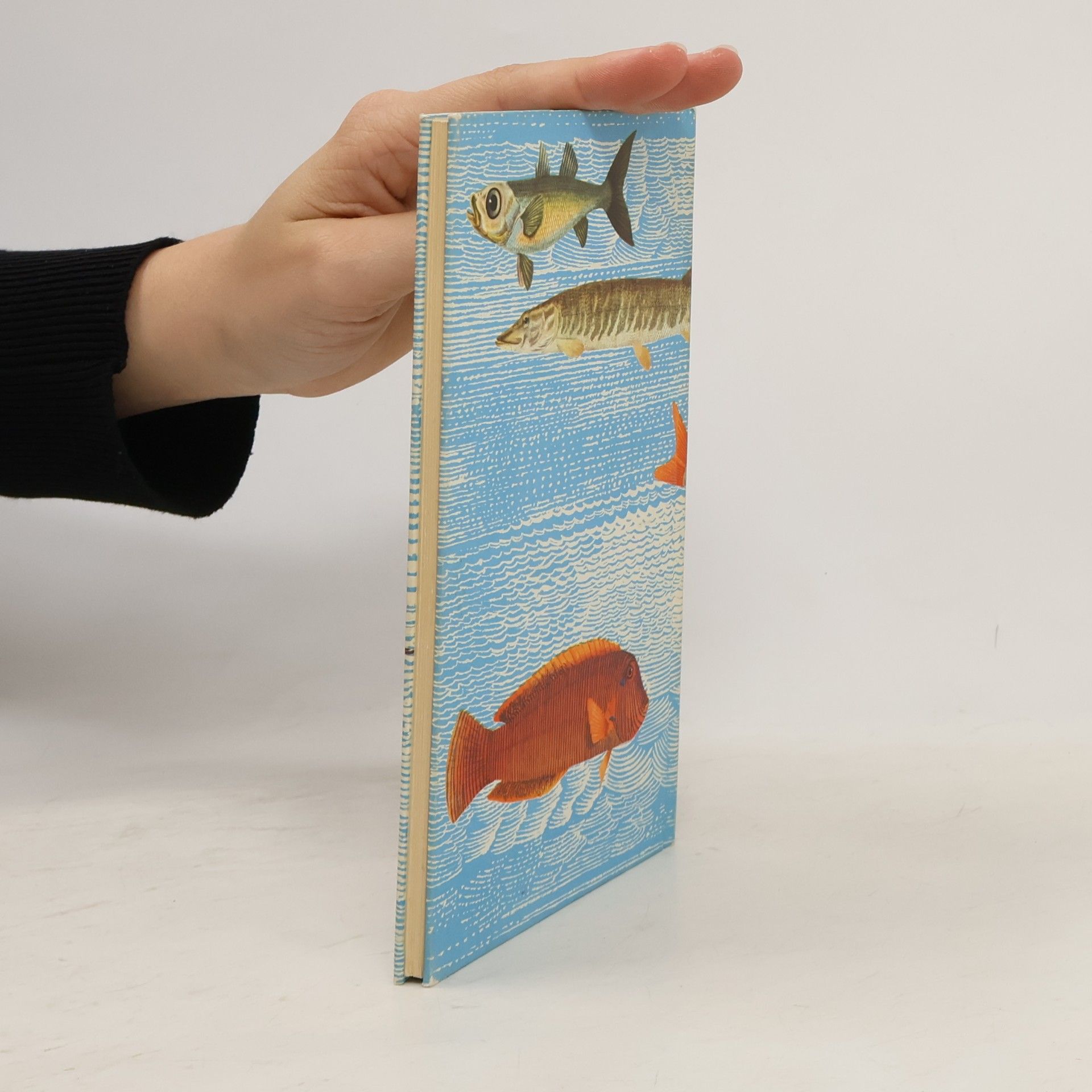 Richard Gerlach Wunderbare Welt der Fische