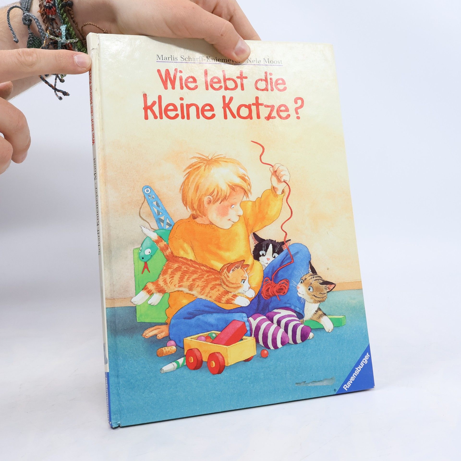 Marlis Scharff Kniemeyer Wie lebt die kleine Katze?