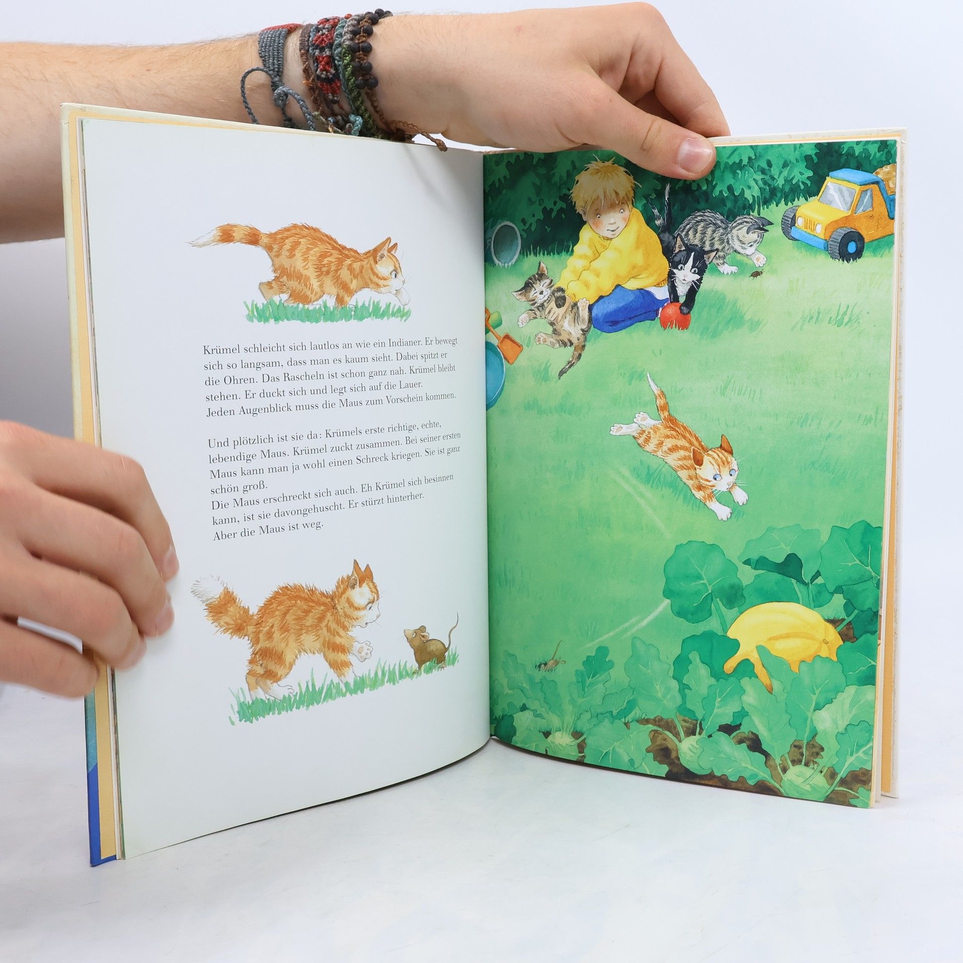 Marlis Scharff Kniemeyer Wie lebt die kleine Katze?