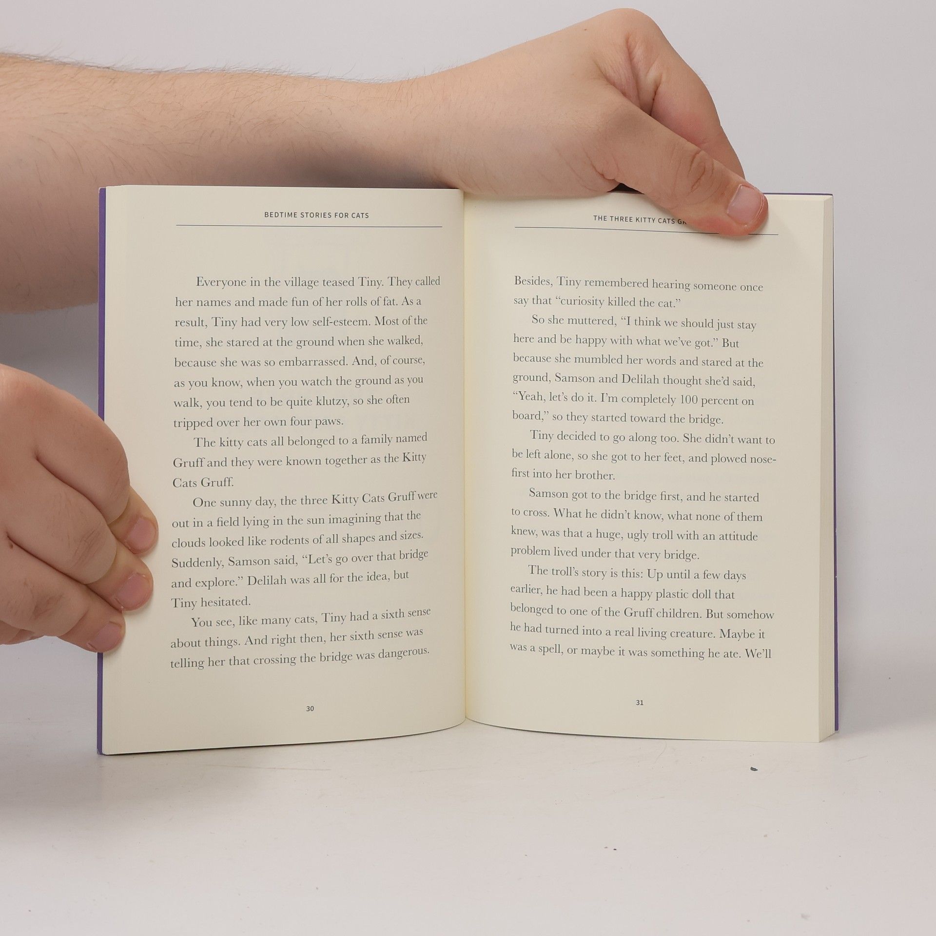 Leigh Anne Jasheway-Bryant Bedtime Stories for Cats