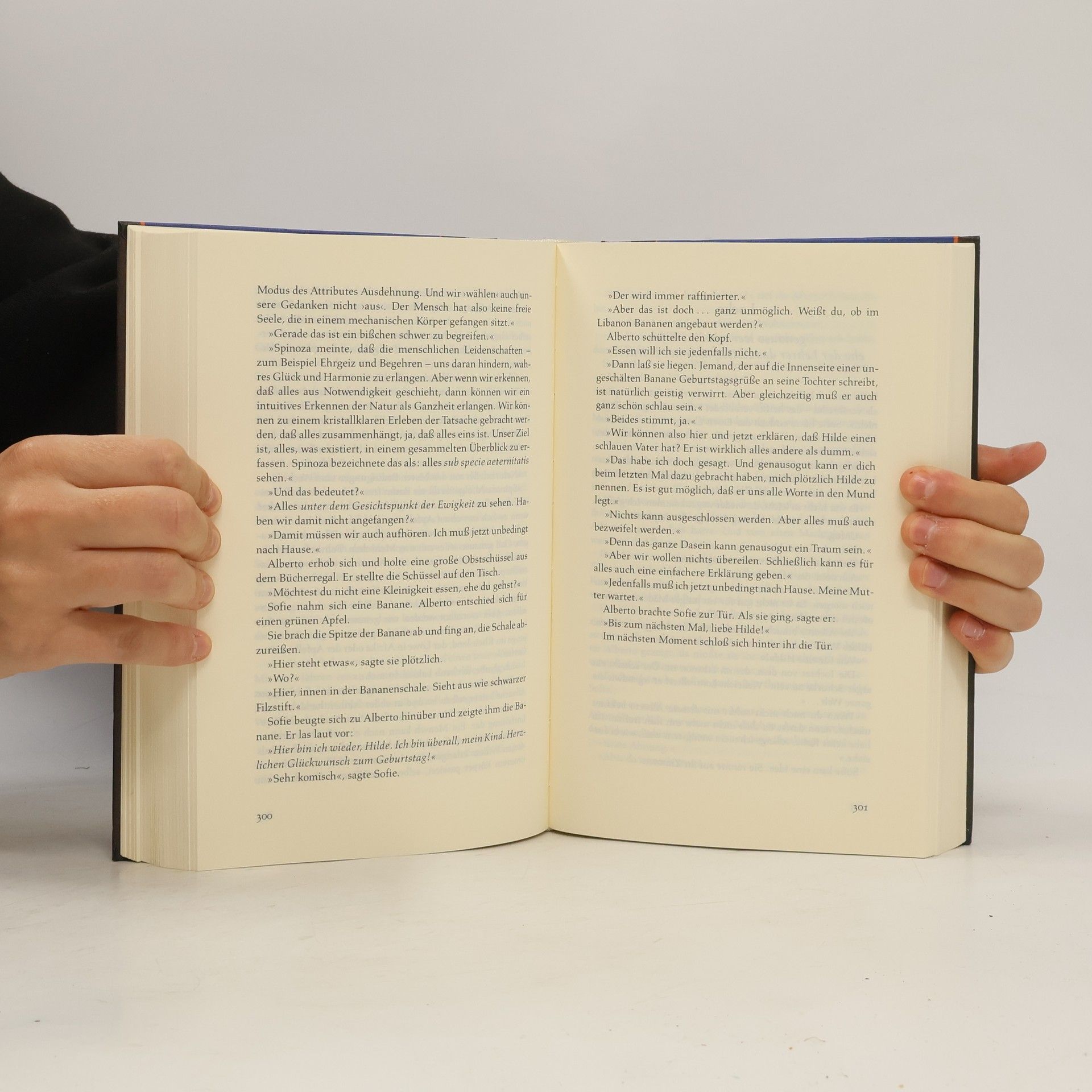 Jostein Gaarder Sofies Welt