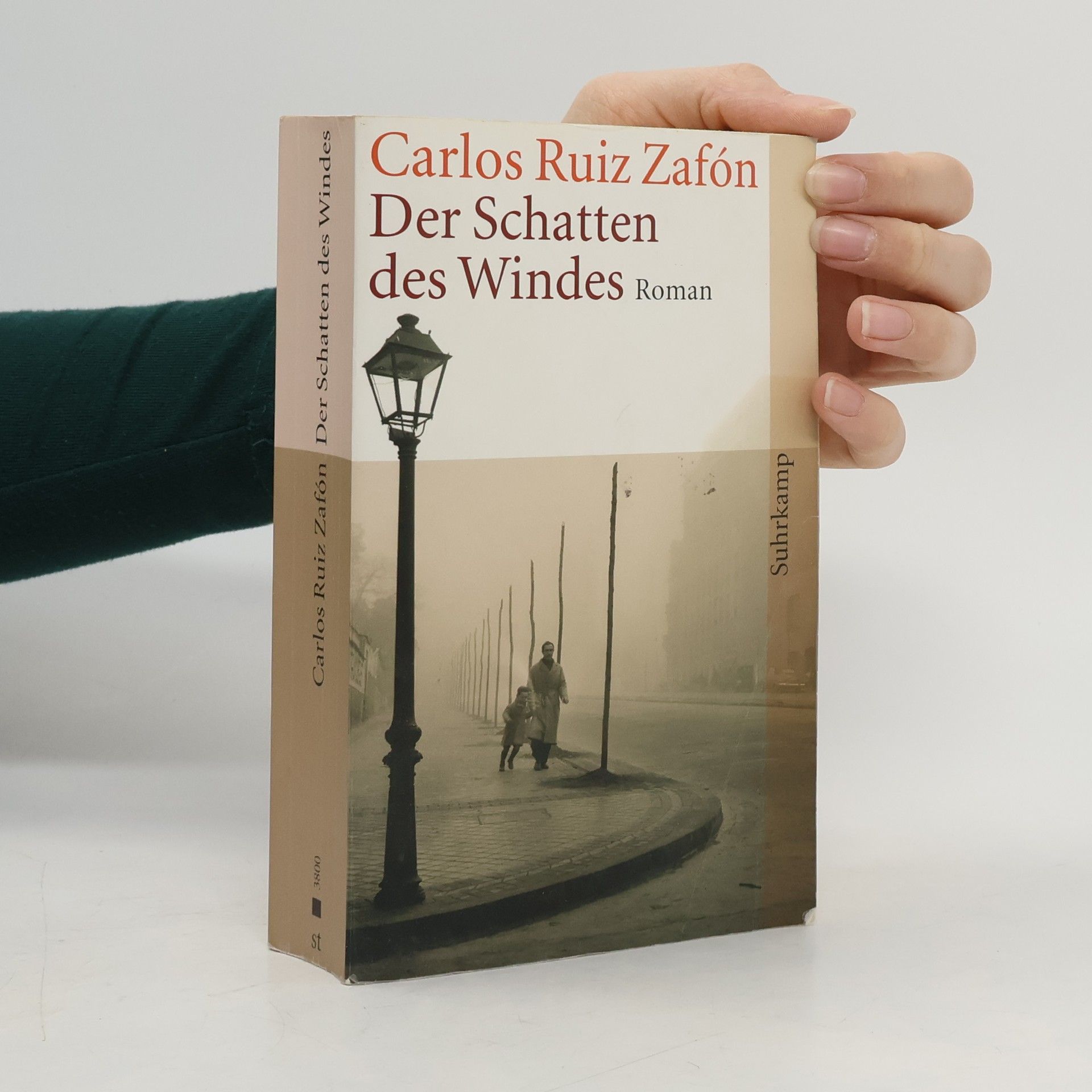 Carlos Ruiz Zafón Der Schatten des Windes