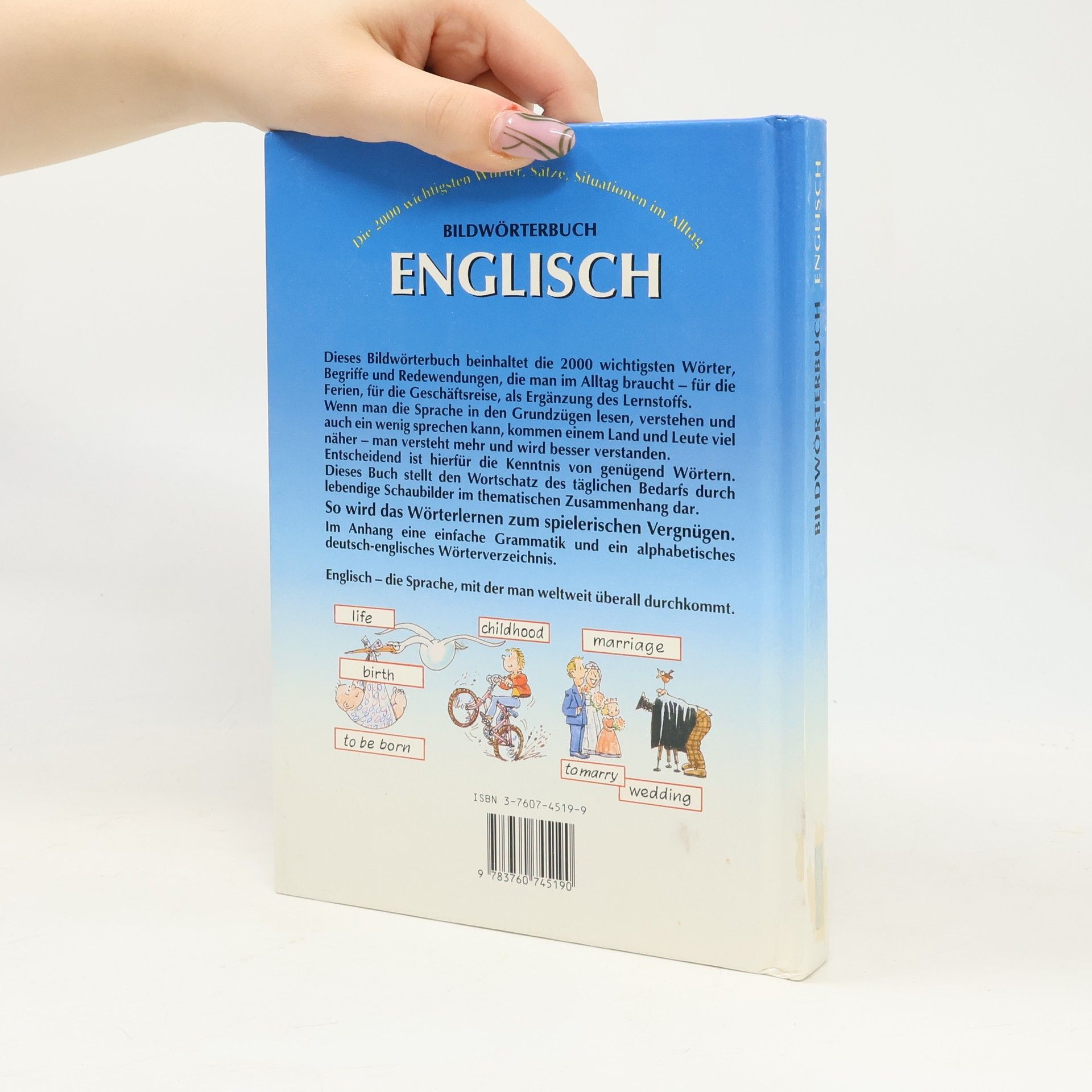 Helen Davies Bildwörterbuch Englisch