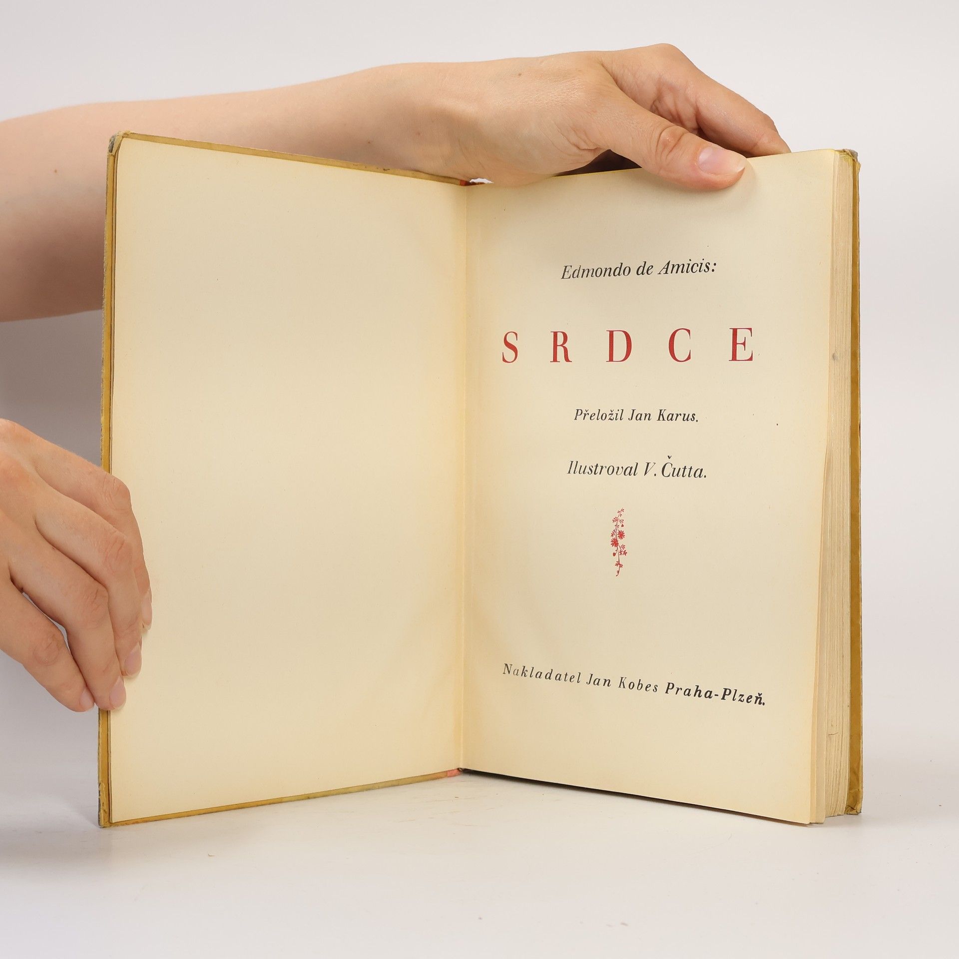 Edmondo De Amicis Srdce