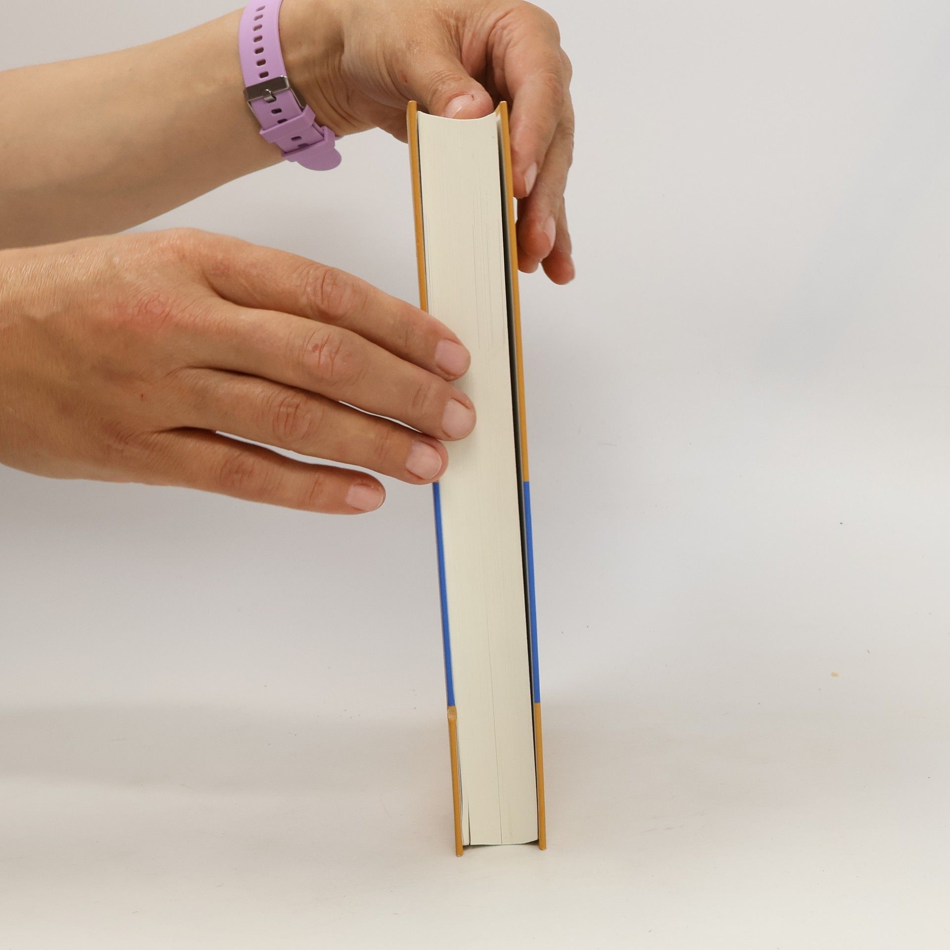 Ursula Amrein Gottfried-Keller-Handbuch