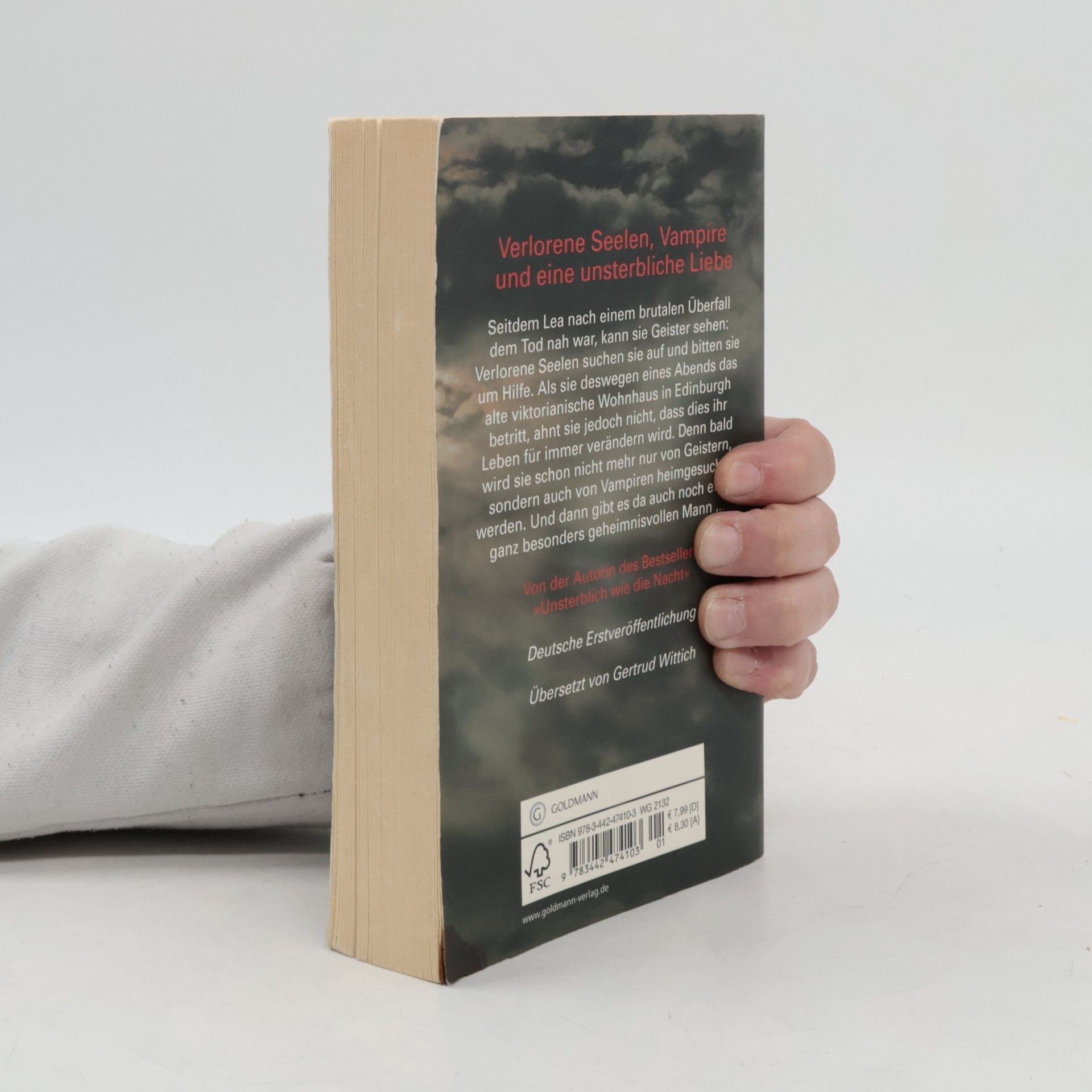 Mina Hepsen Unsterblich wie der Morgen. Roman