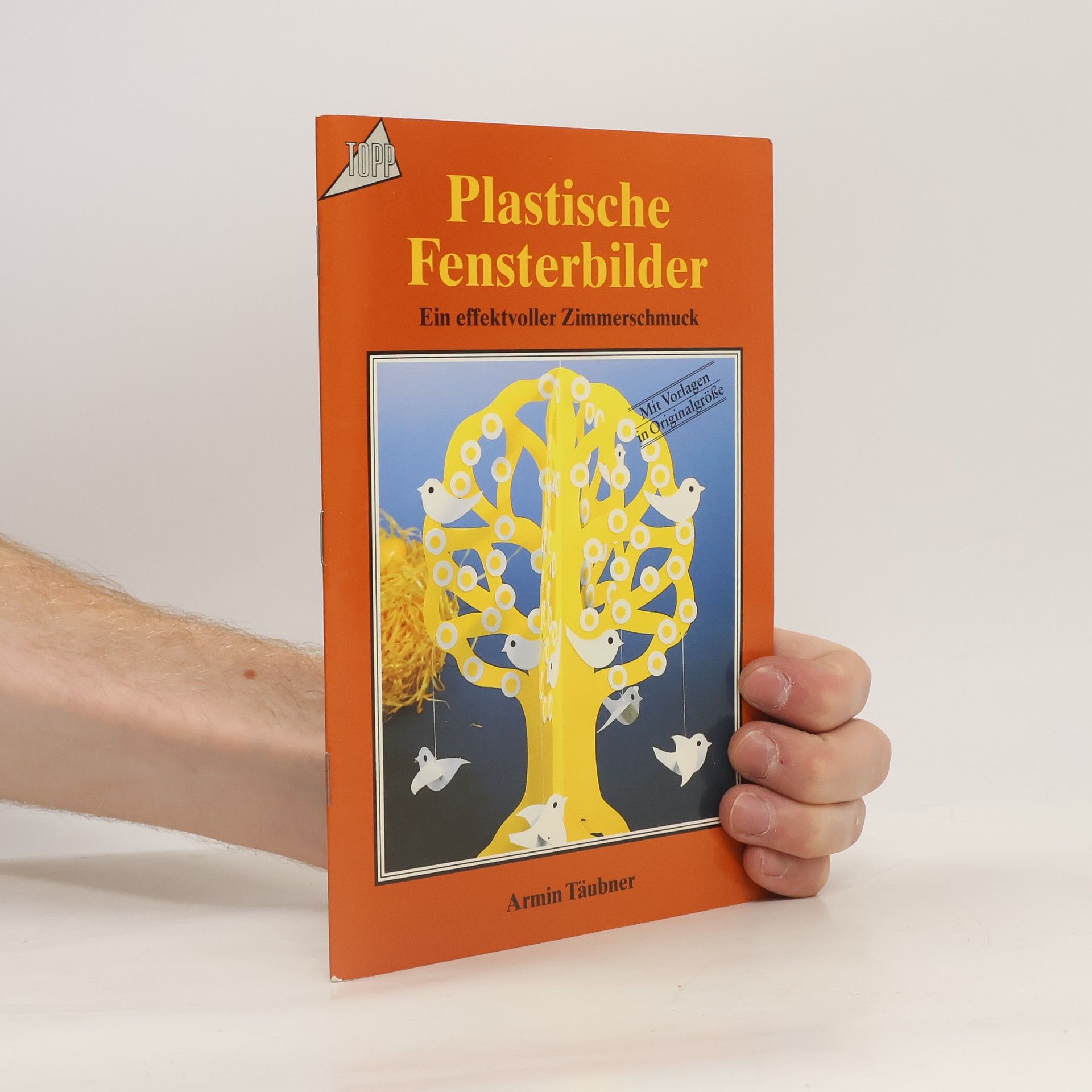 Kolektiv autorů Plastische Fensterbilder