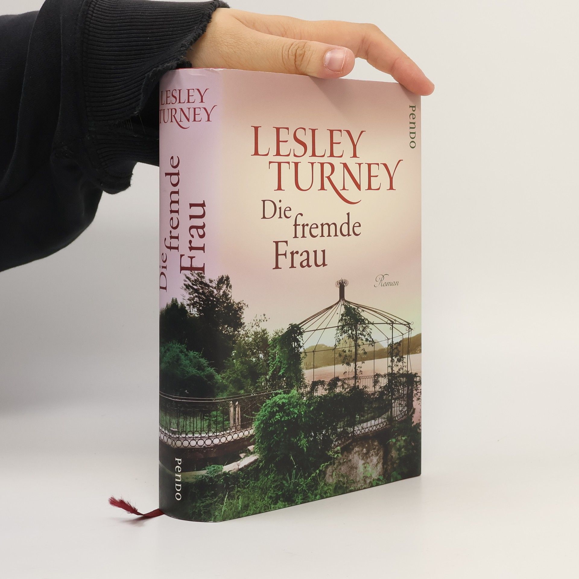 Lesley Turney Die fremde Frau