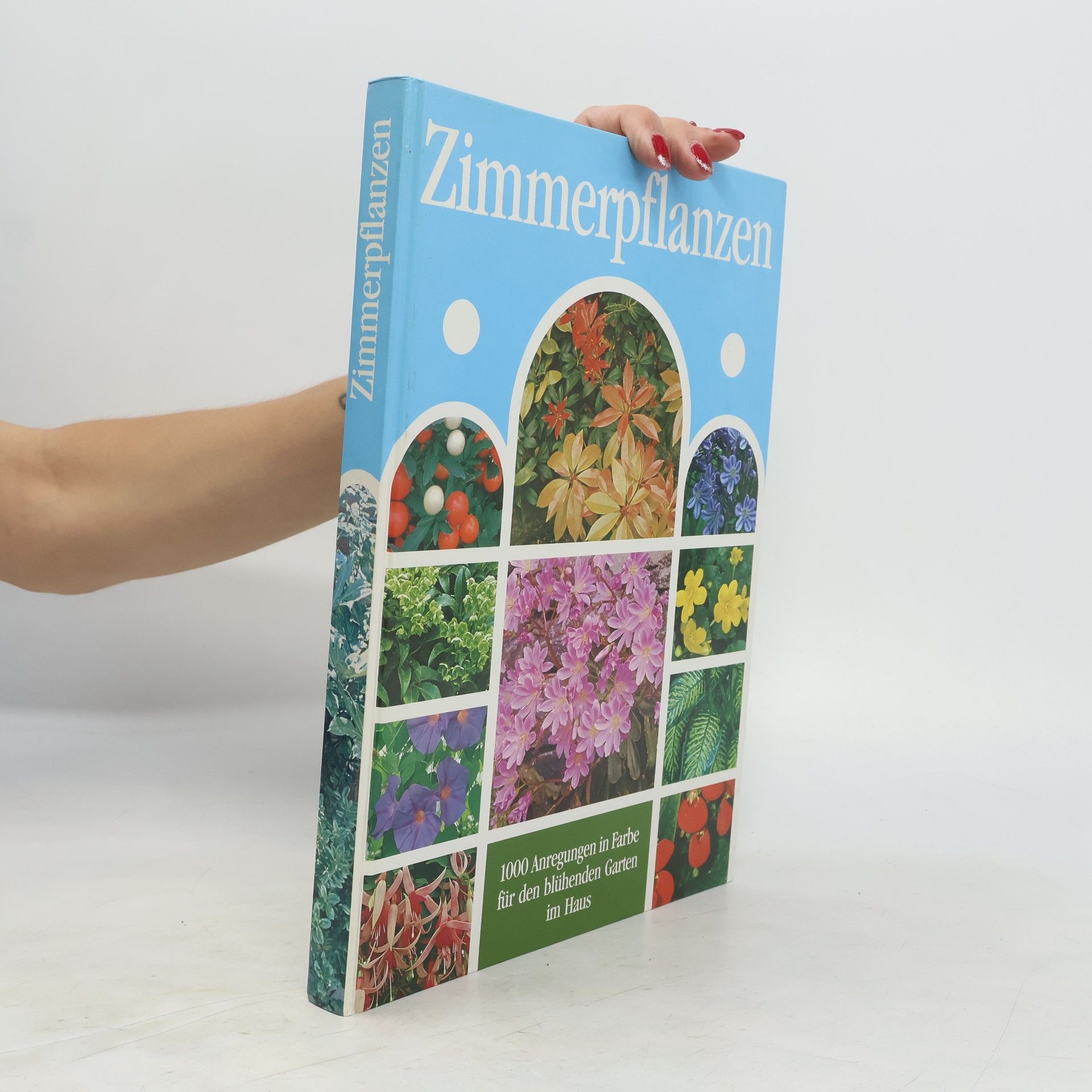Autorenkollektiv Zimmerpflanzen