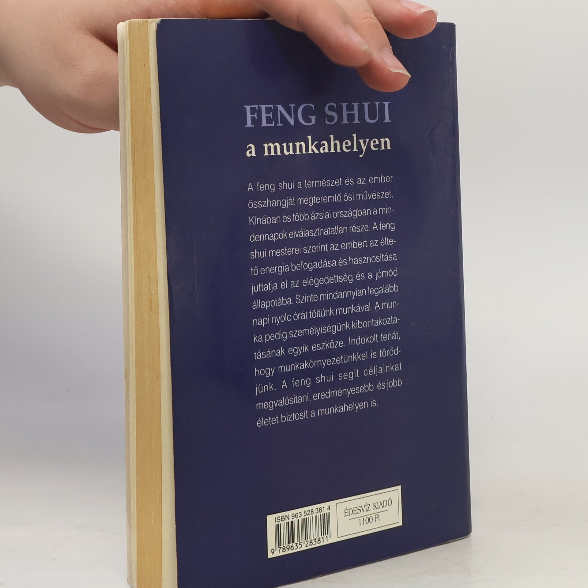 Richard Webster Feng shui a munkahelyen