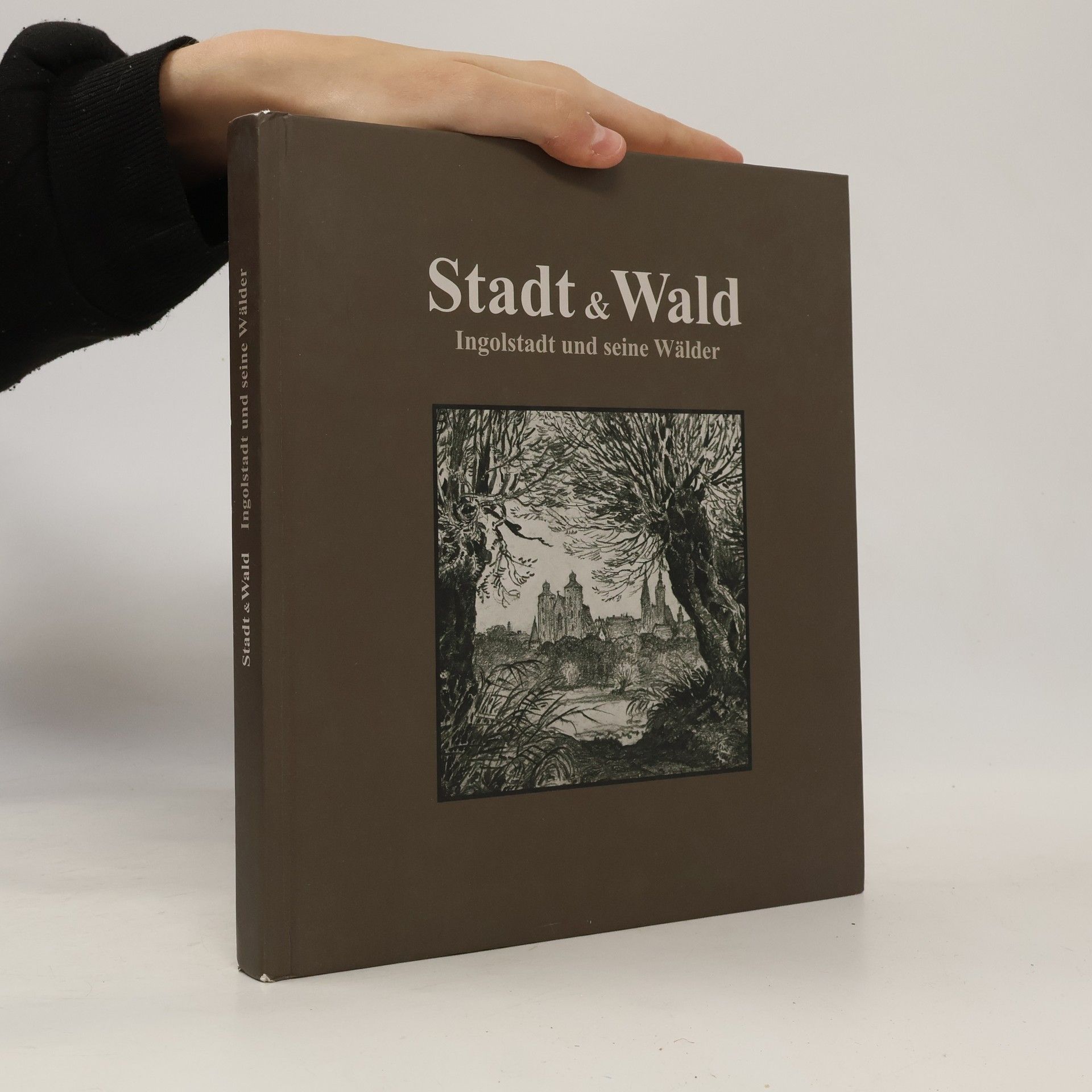 Stadtmuseum Ingolstadt Stadt & Wald