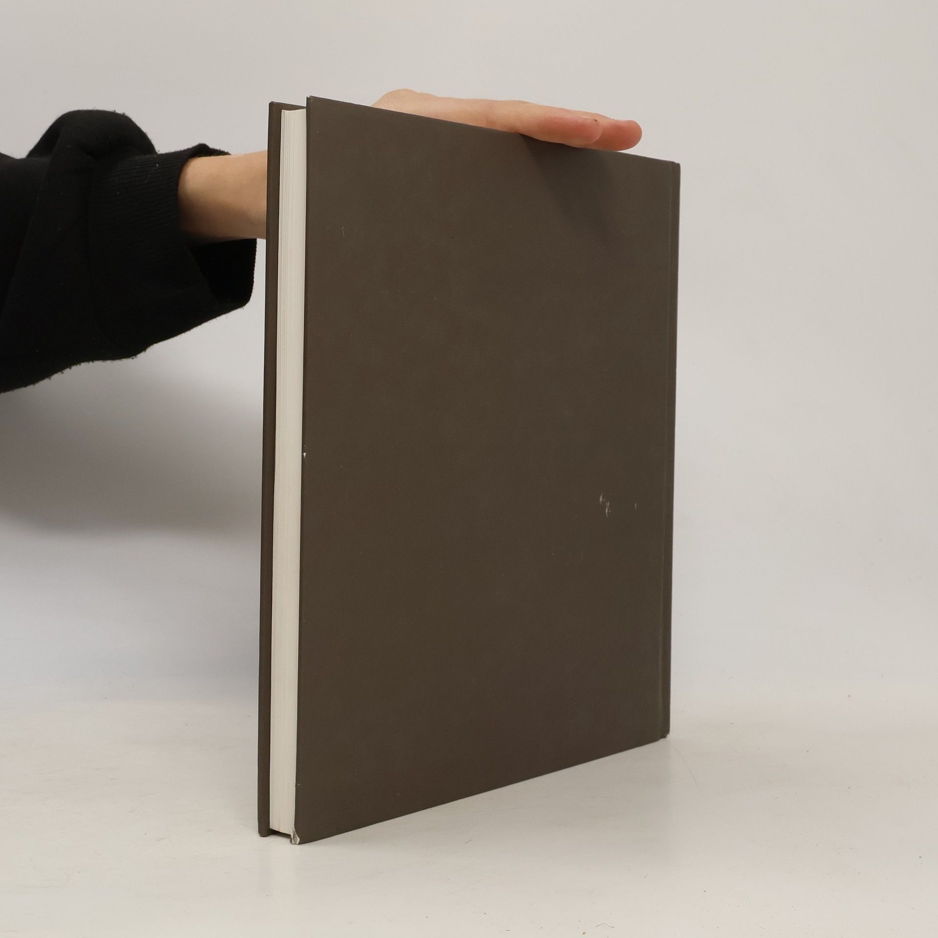 Stadtmuseum Ingolstadt Stadt & Wald