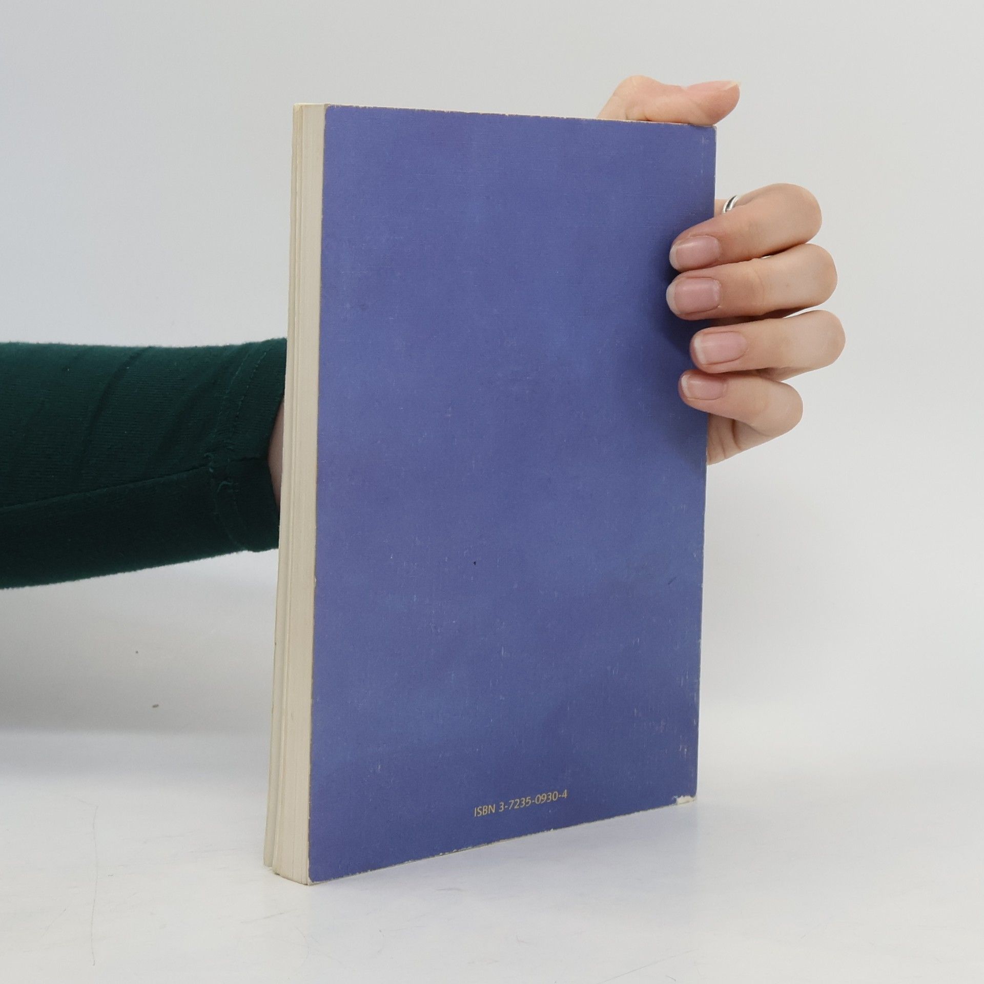 Ursula Mihm Windmühlenmusik