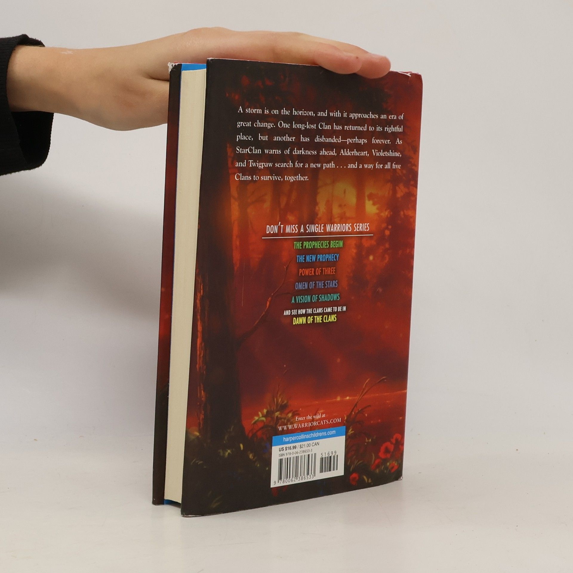 Erin Hunter Warriors: A Vision of Shadows - River of Fire