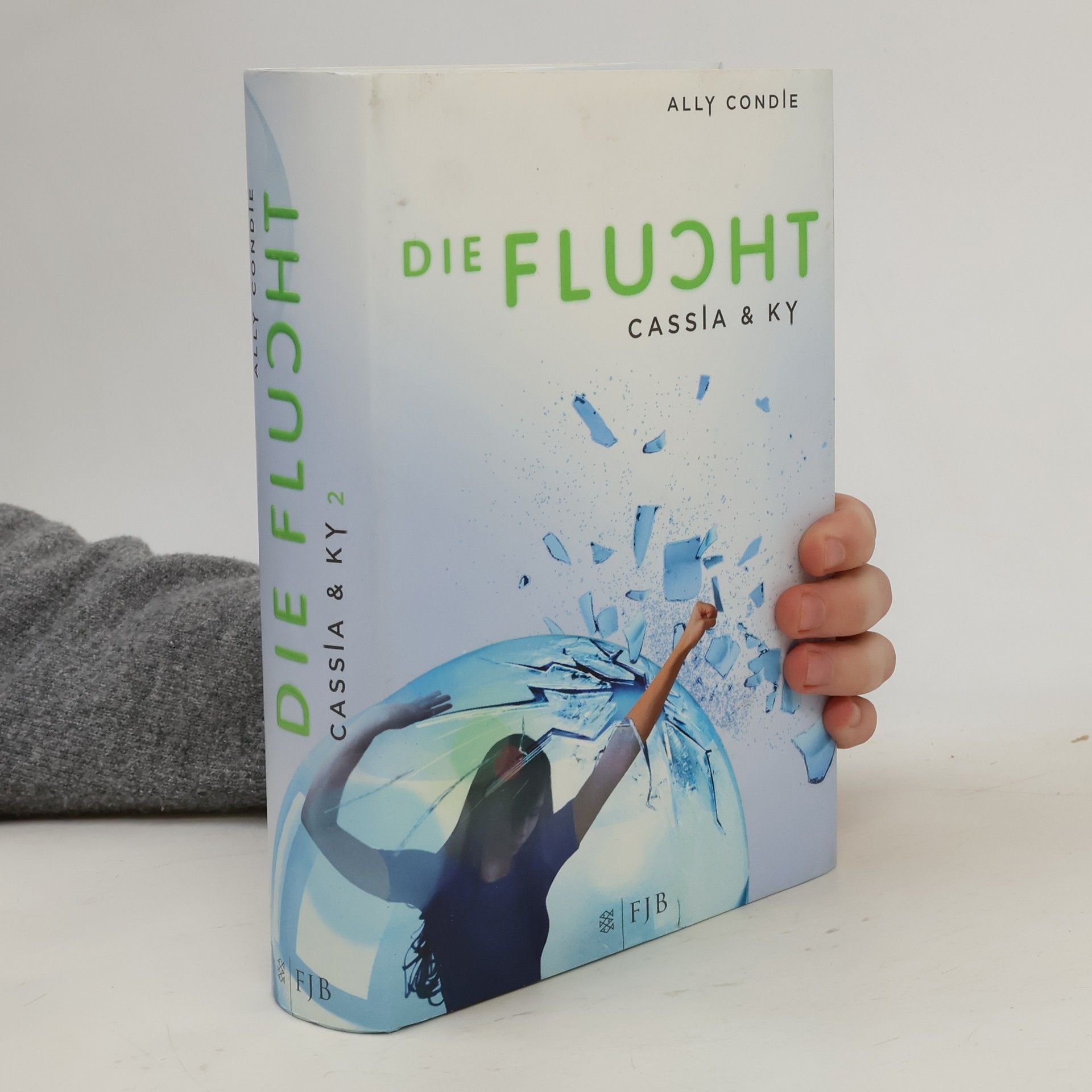 Allyson Braithwaite Condie Die Flucht