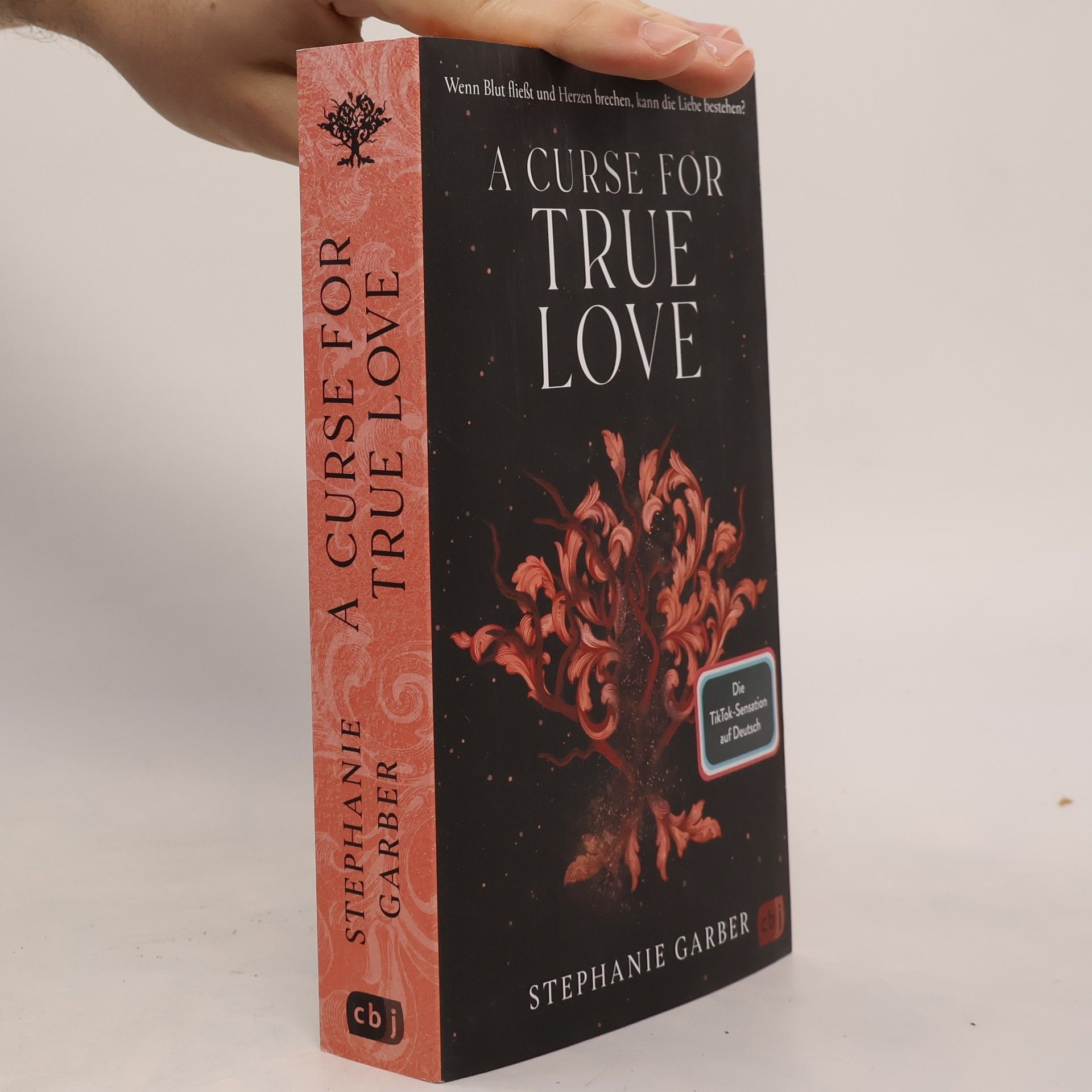 Stephanie Garber A Curse for True Love