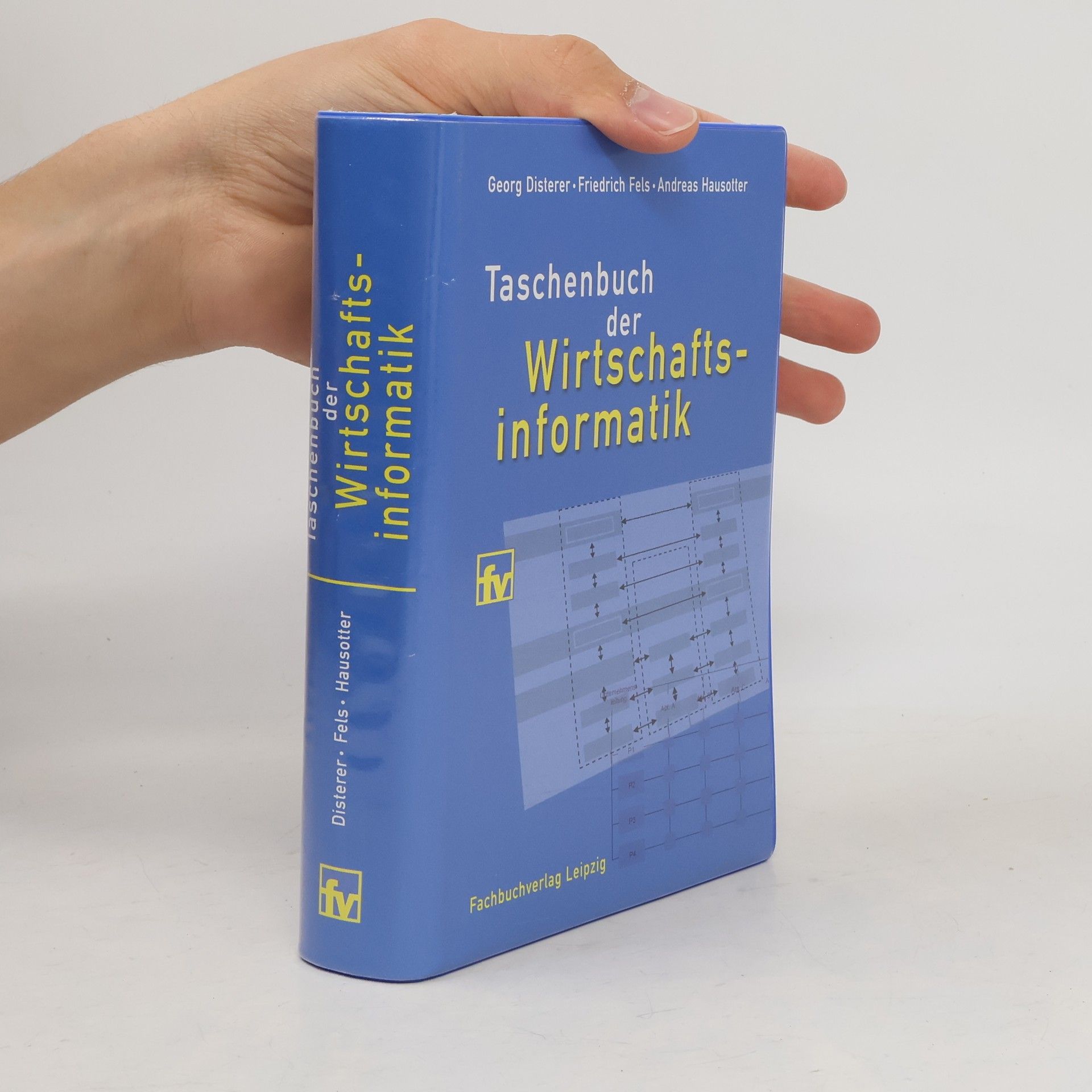 Taschenbuch der Wirtschaftsinformatik