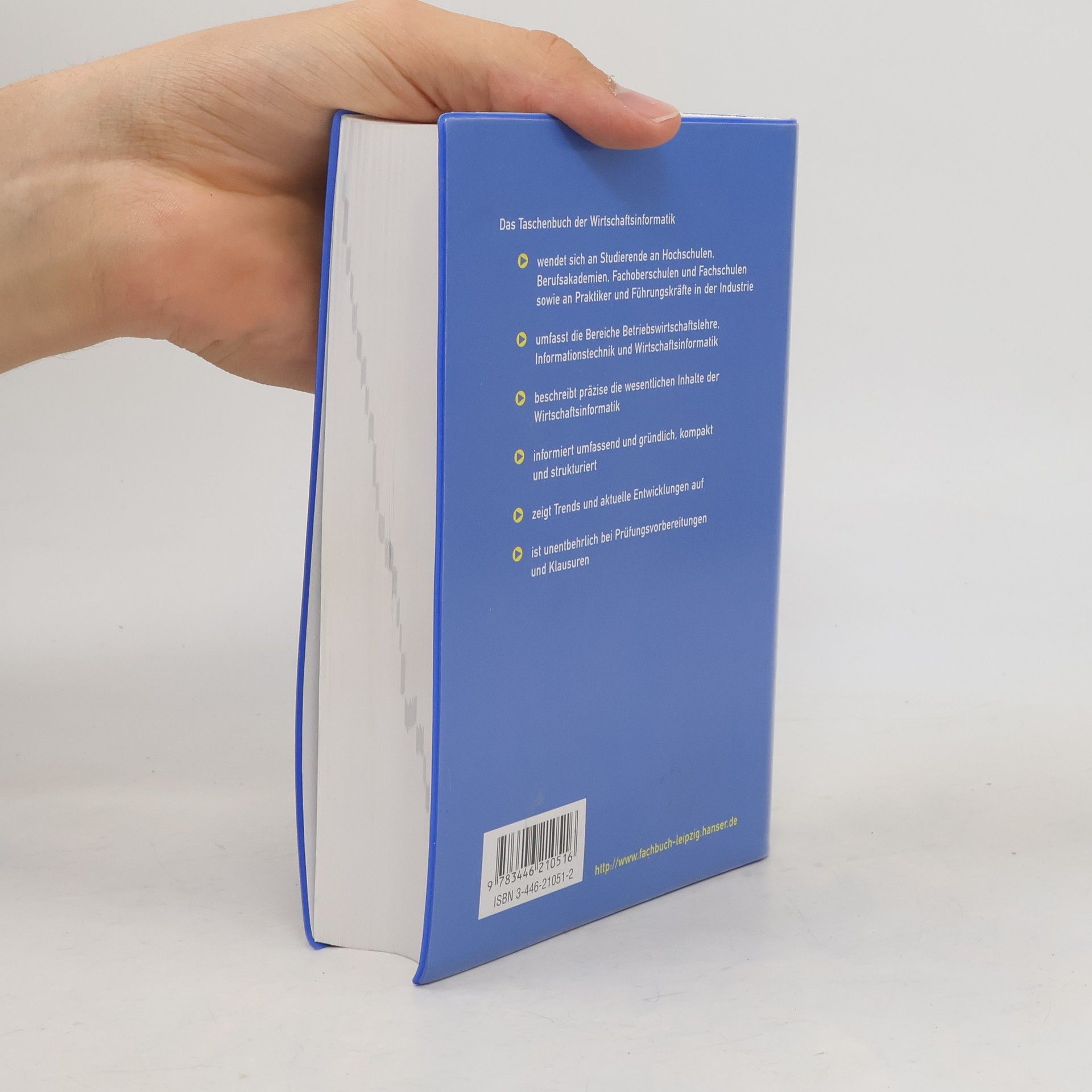 Georg Disterer Taschenbuch der Wirtschaftsinformatik