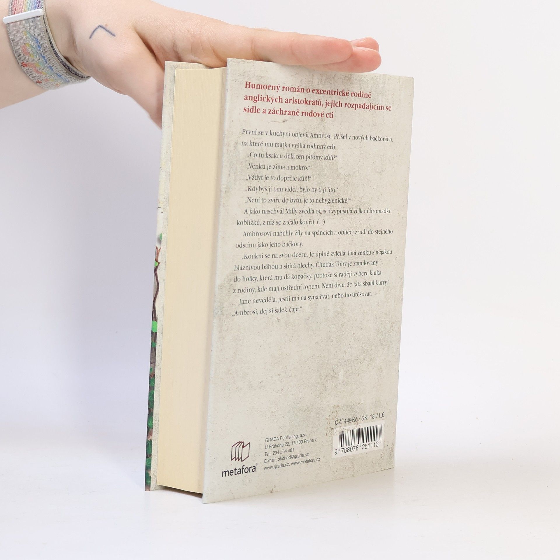 Hannah Rothschild Zřícenina na krku a jiné katastrofy