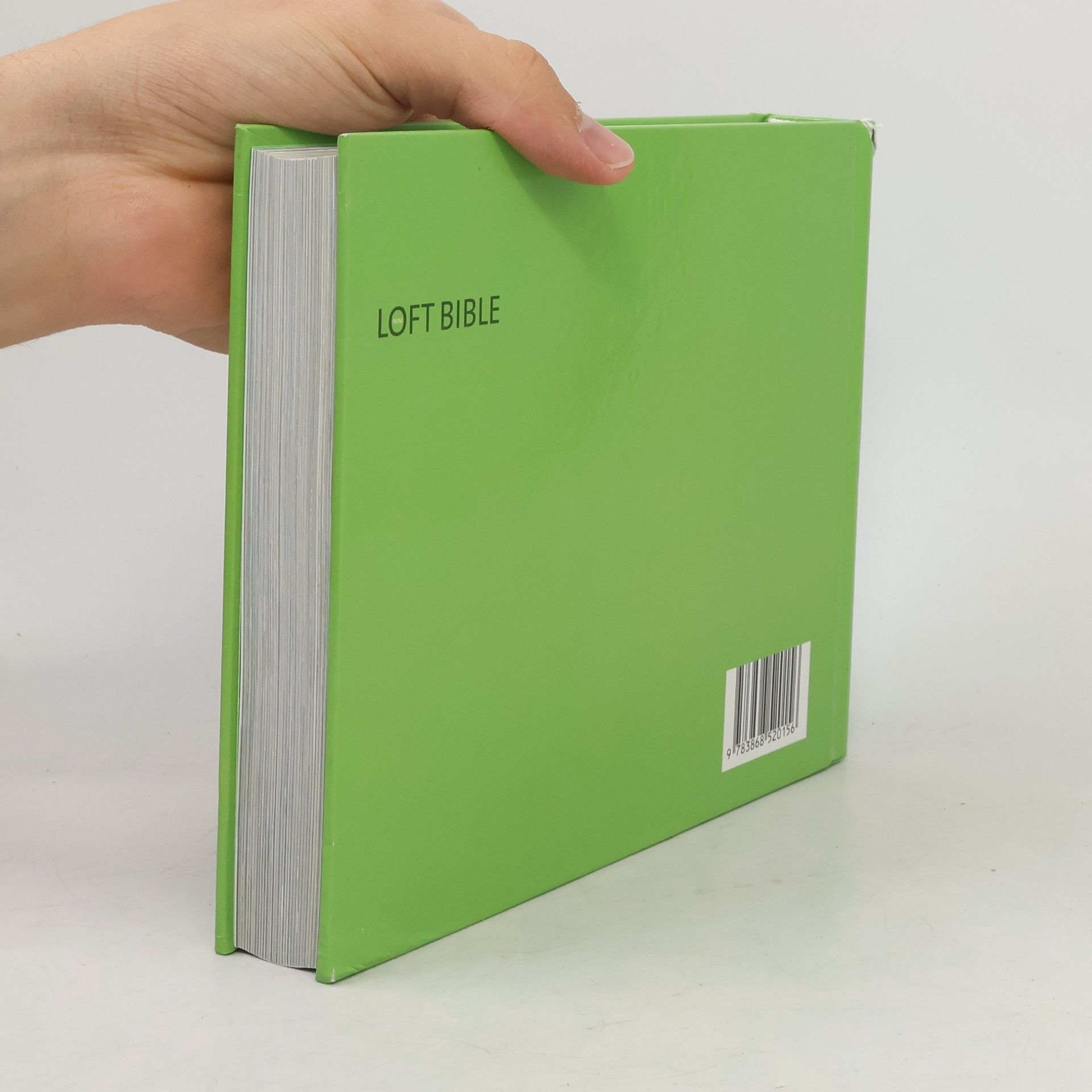 Mini Loft Bible