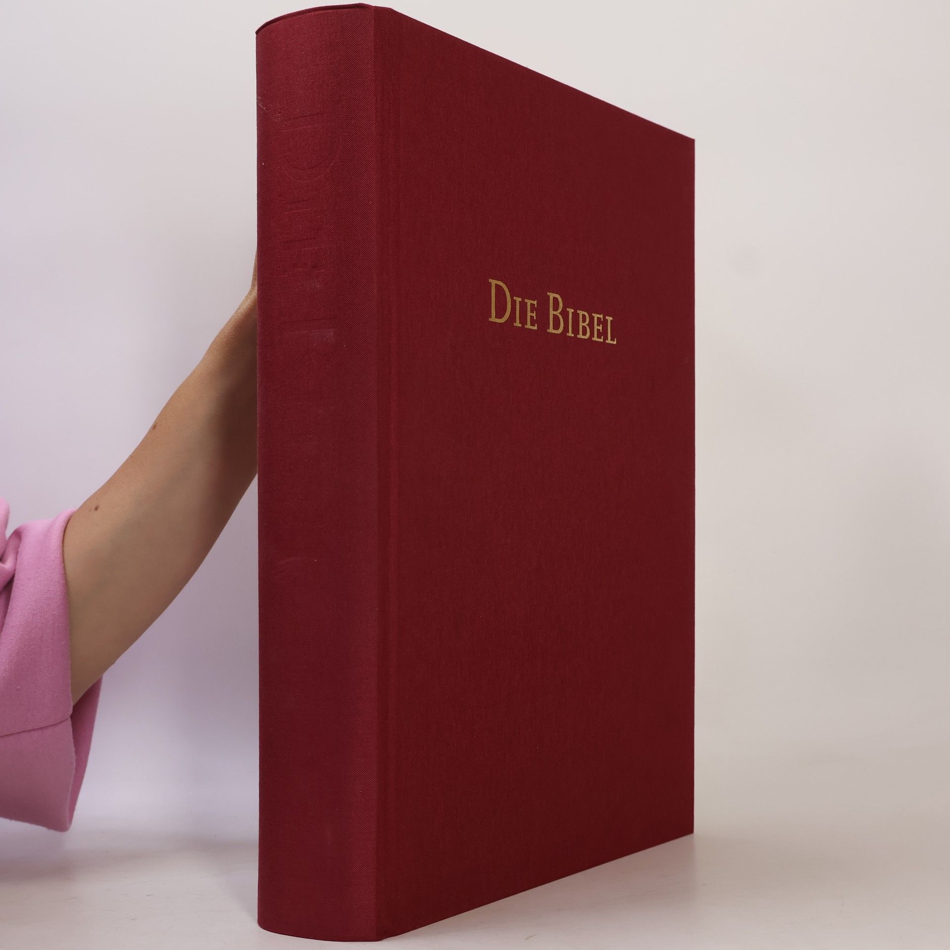 Autorenkollektiv Die Bibel