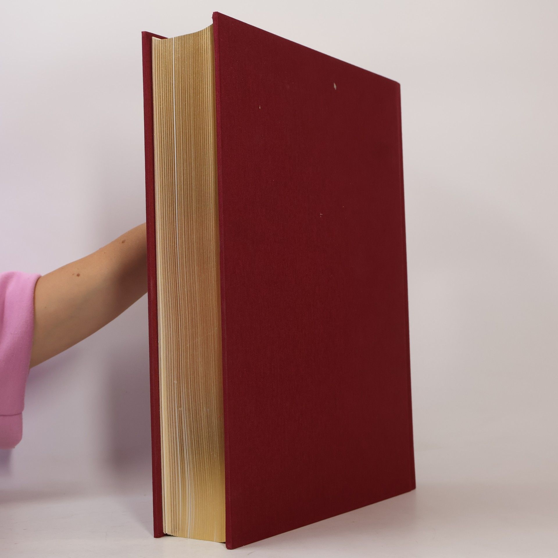 Auteurscollectief Die Bibel