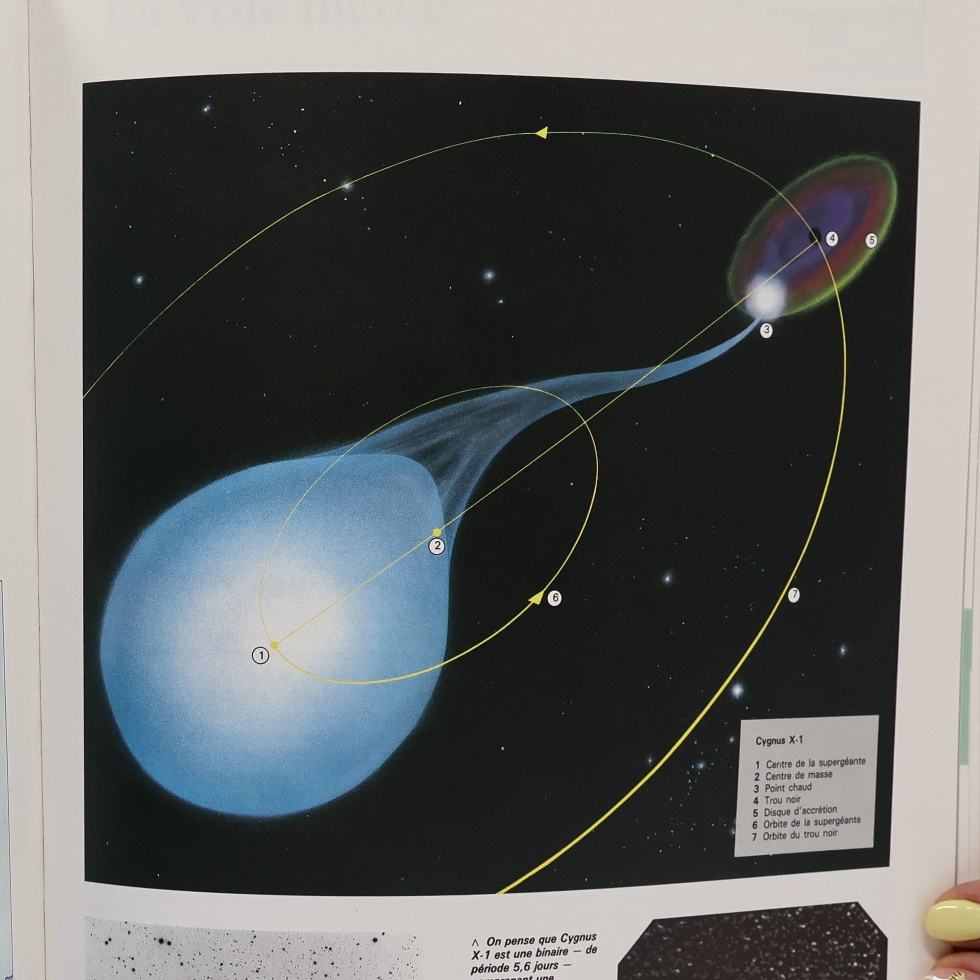 Iain Nicolson Le Monde des Sciences: L'Univers