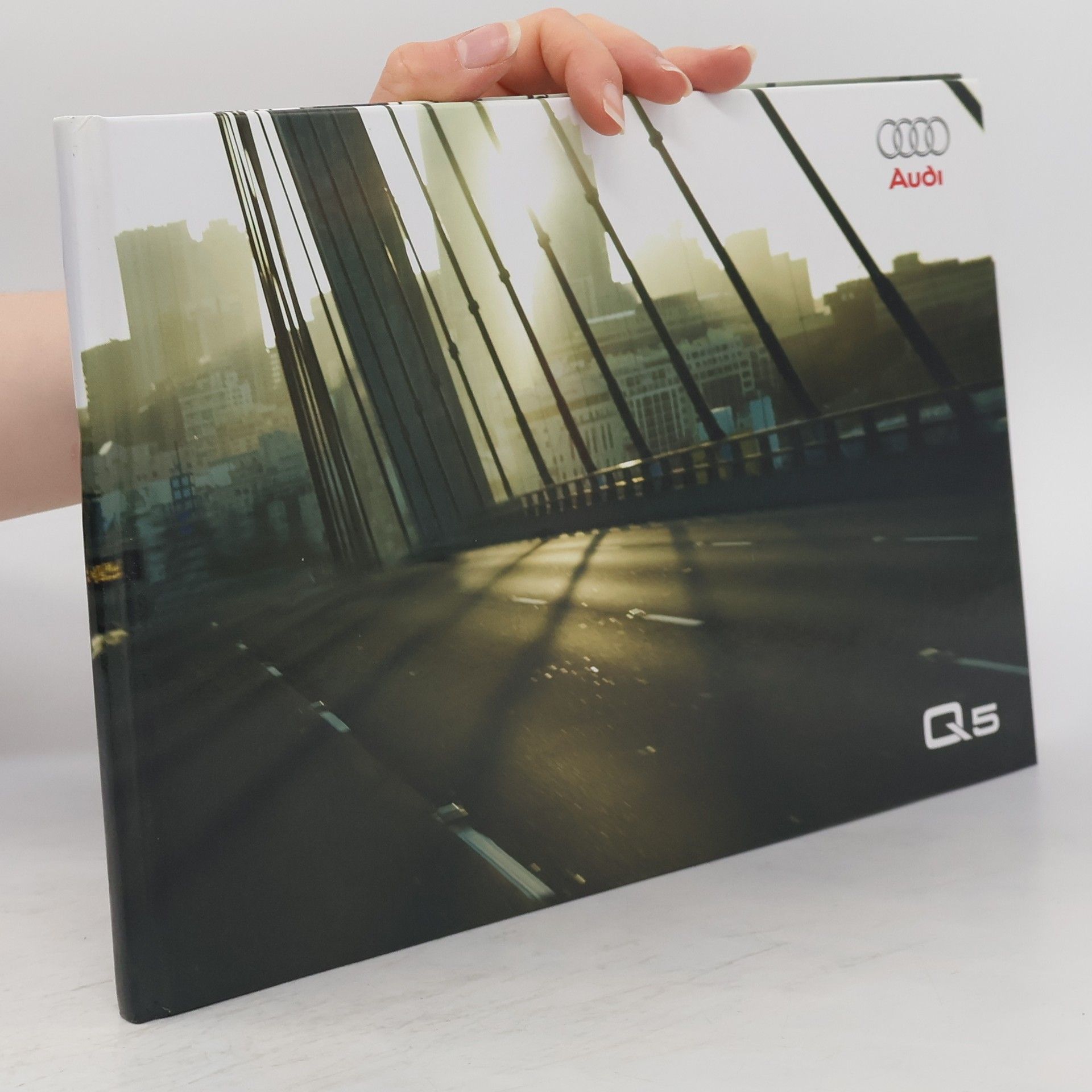 Kolektiv autorů Audi Q5