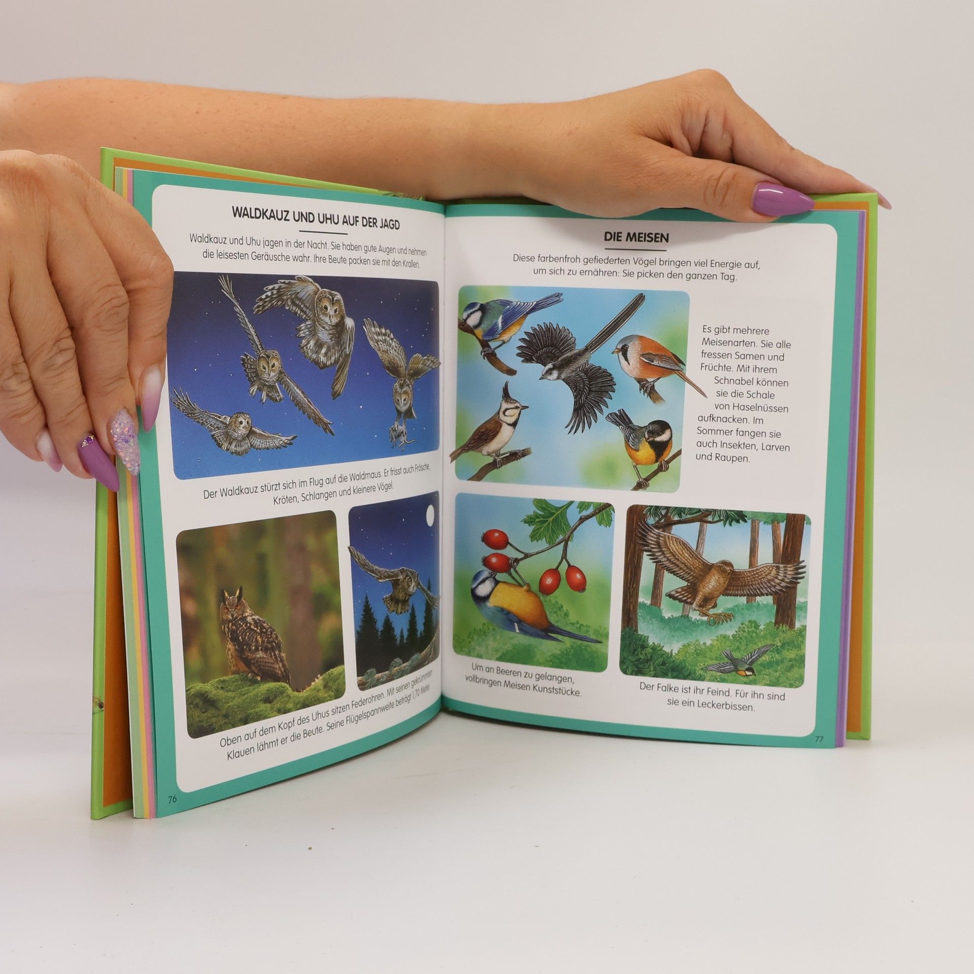 Collectif d'auteurs Kinderwissen Wald