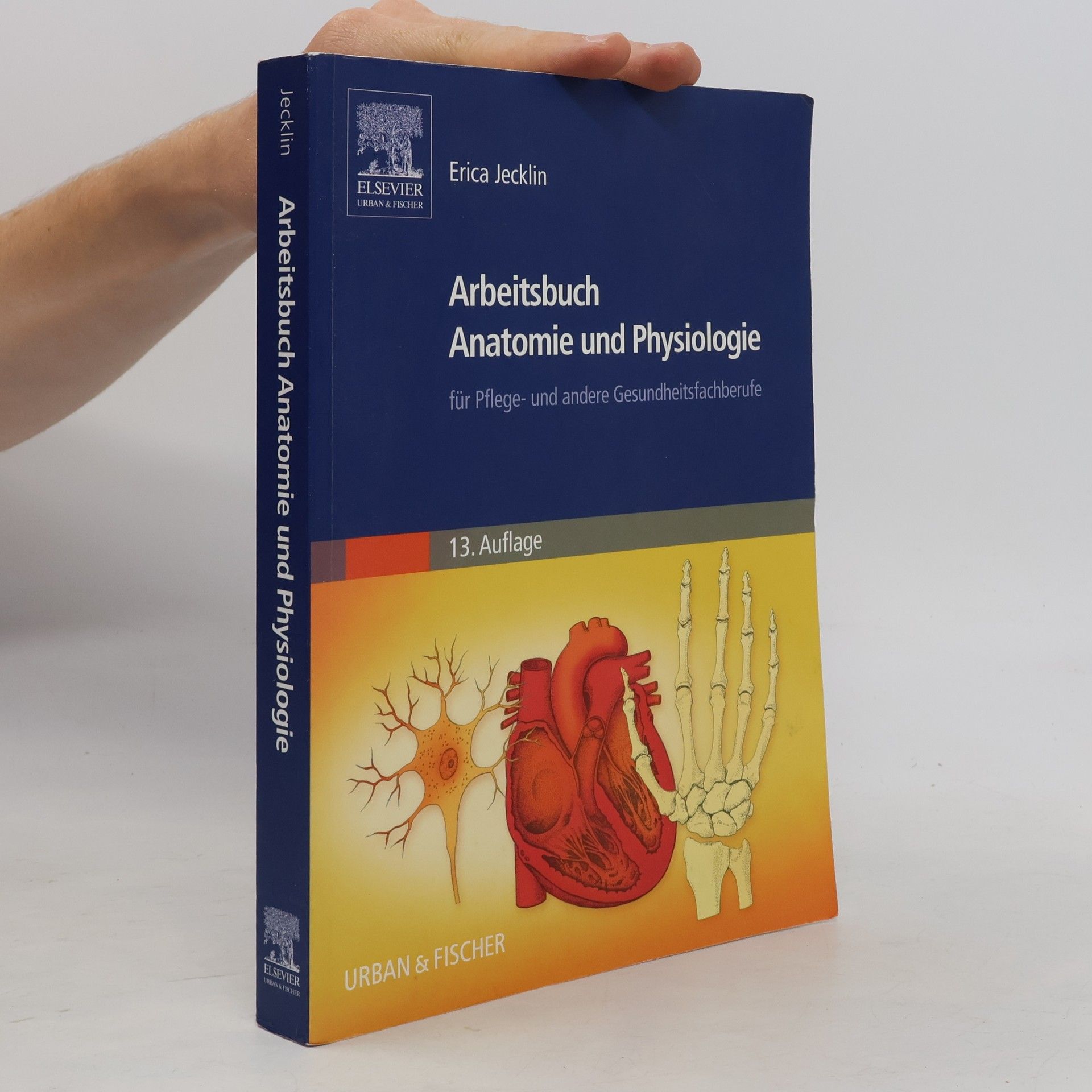 Erica Brühlmann-Jecklin Arbeitsbuch Anatomie und Physiologie für Pflege- und andere Gesundheitsfachberufe