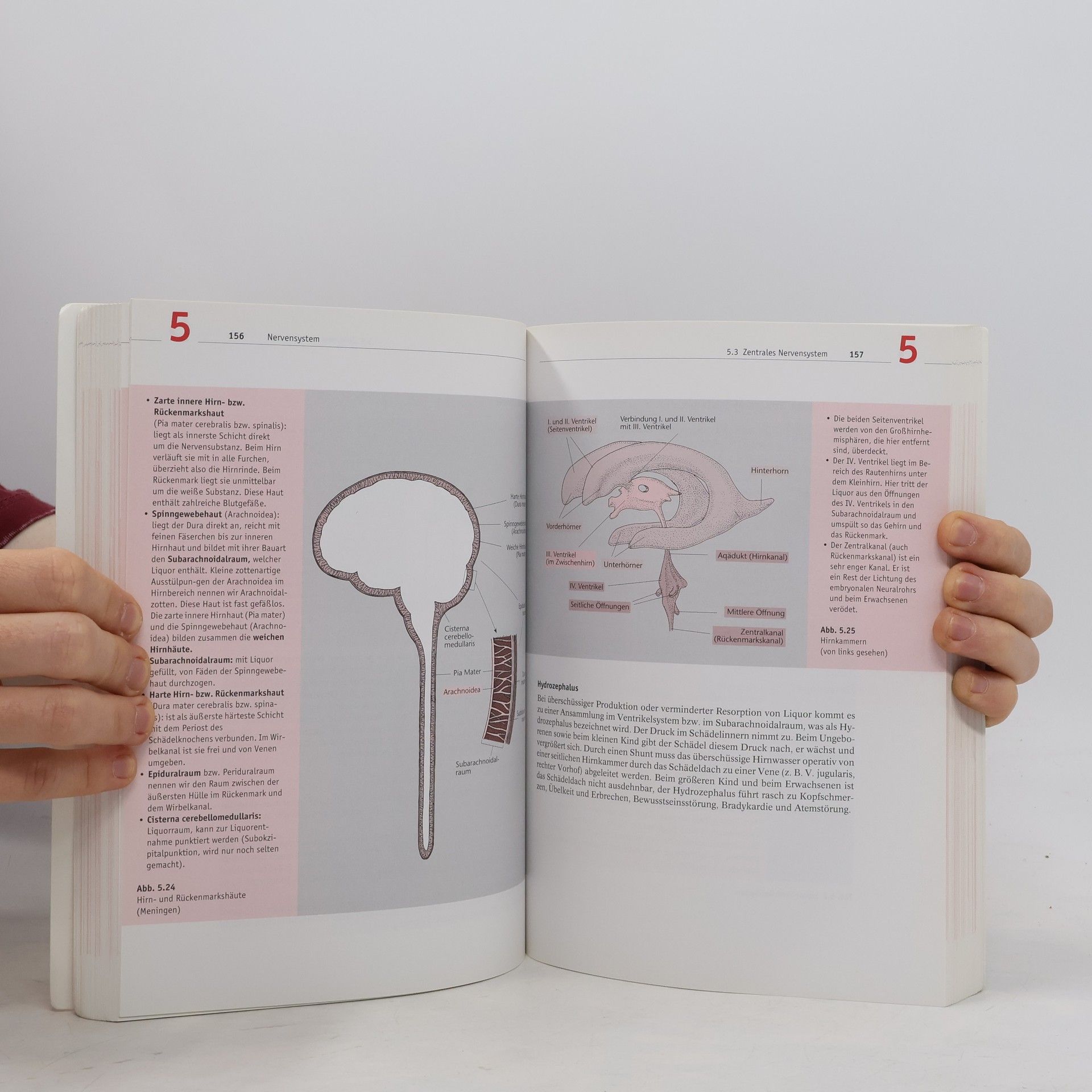 Erica Brühlmann-Jecklin Arbeitsbuch Anatomie und Physiologie für Pflege- und andere Gesundheitsfachberufe