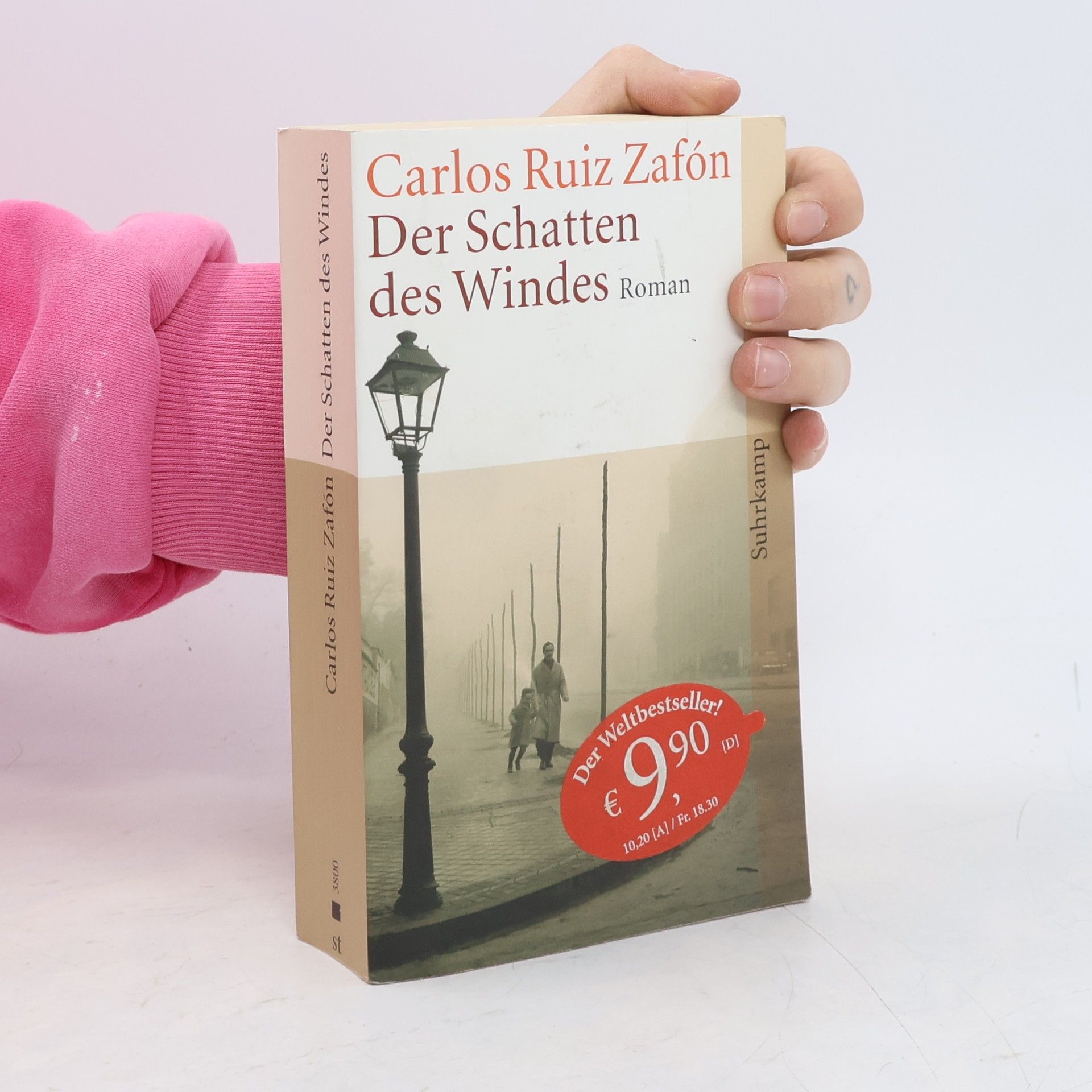Der Schatten des Windes