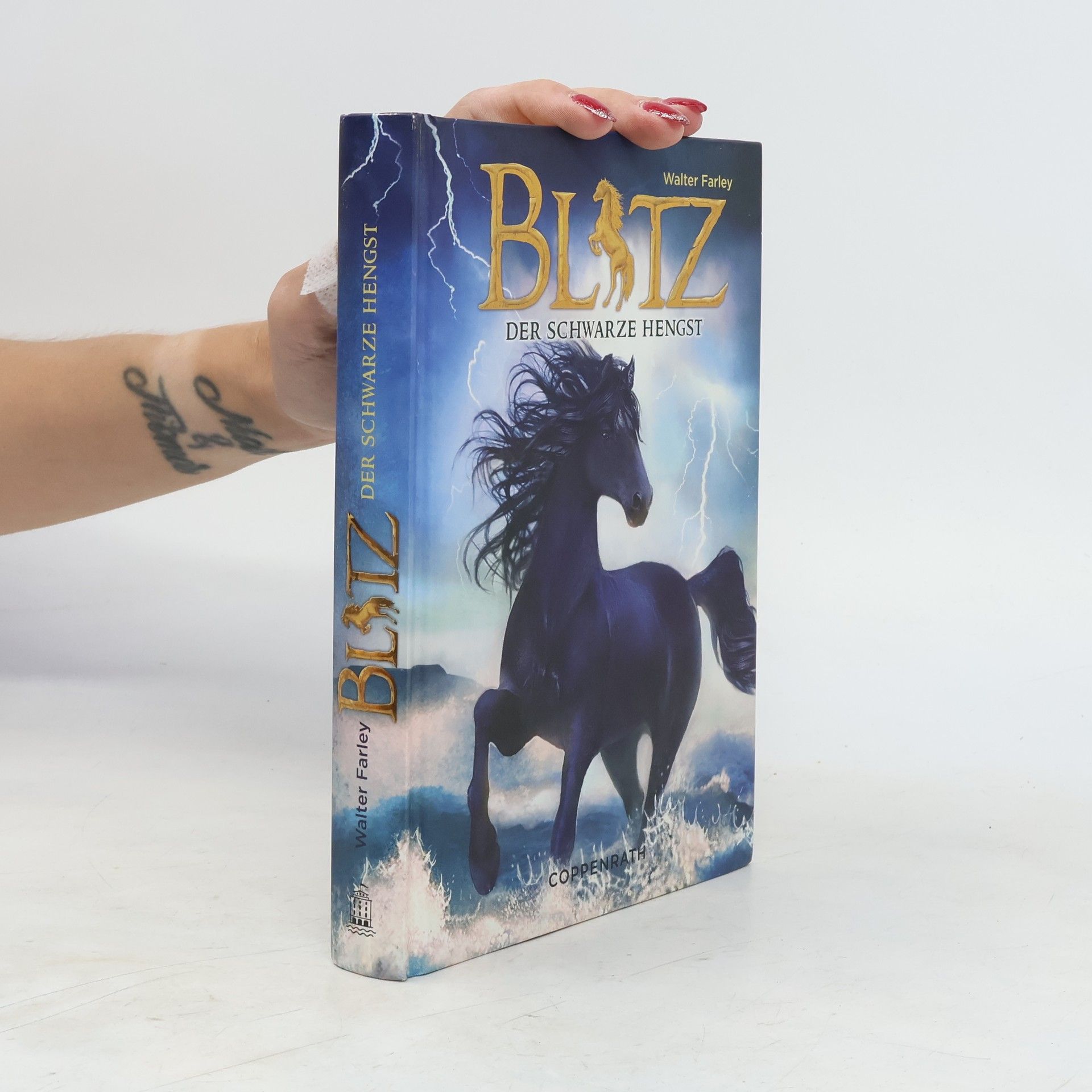 Walter Farley Blitz, der schwarze Hengst