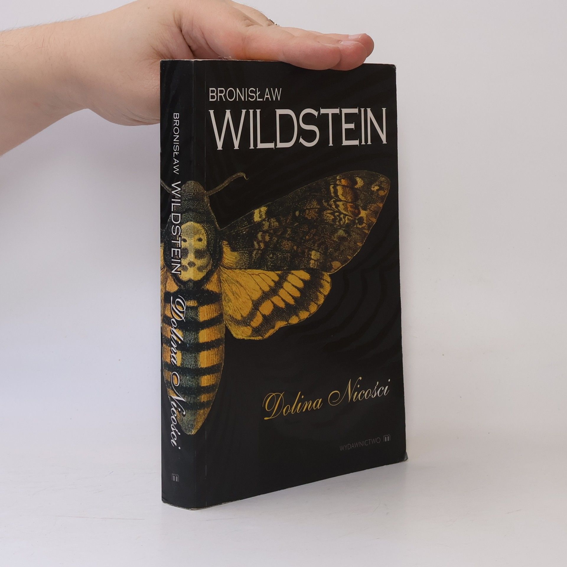 Bronisław Wildstein Dolina nicości