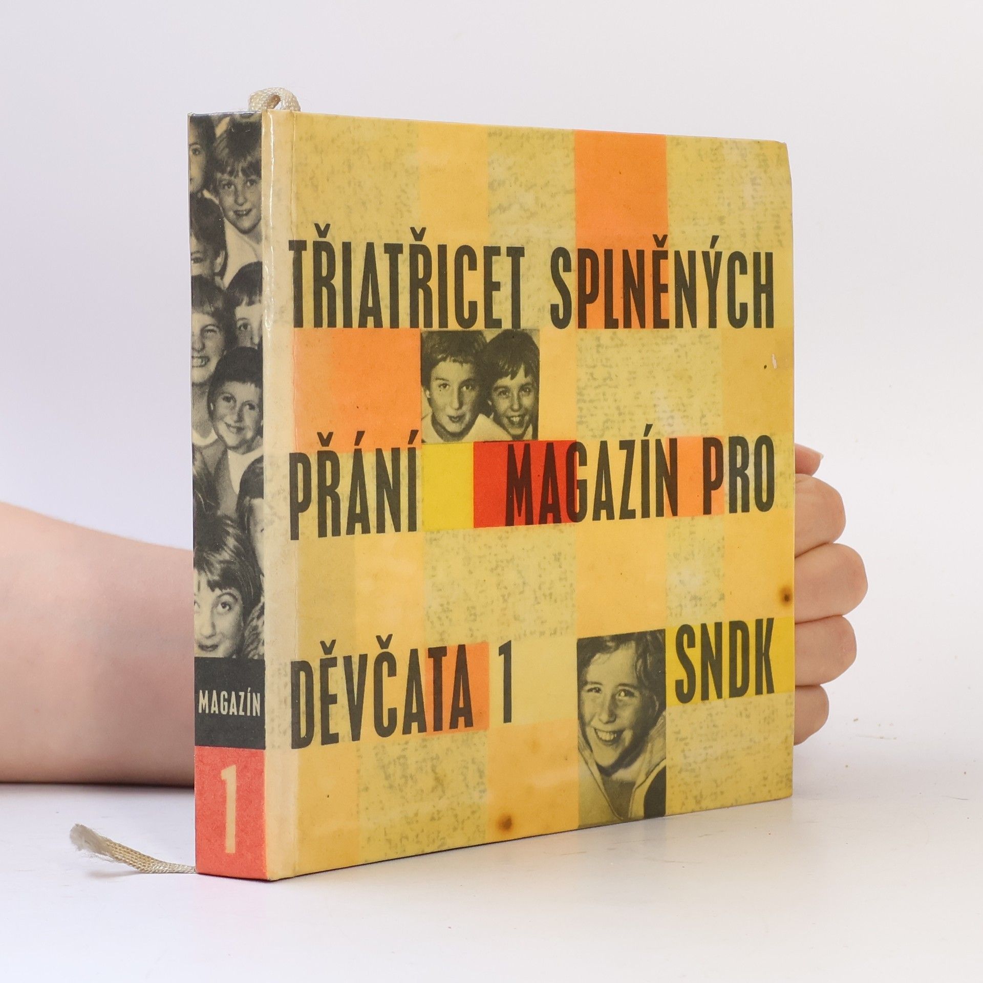 Alena Santarová Třiatřicet splněných přání
