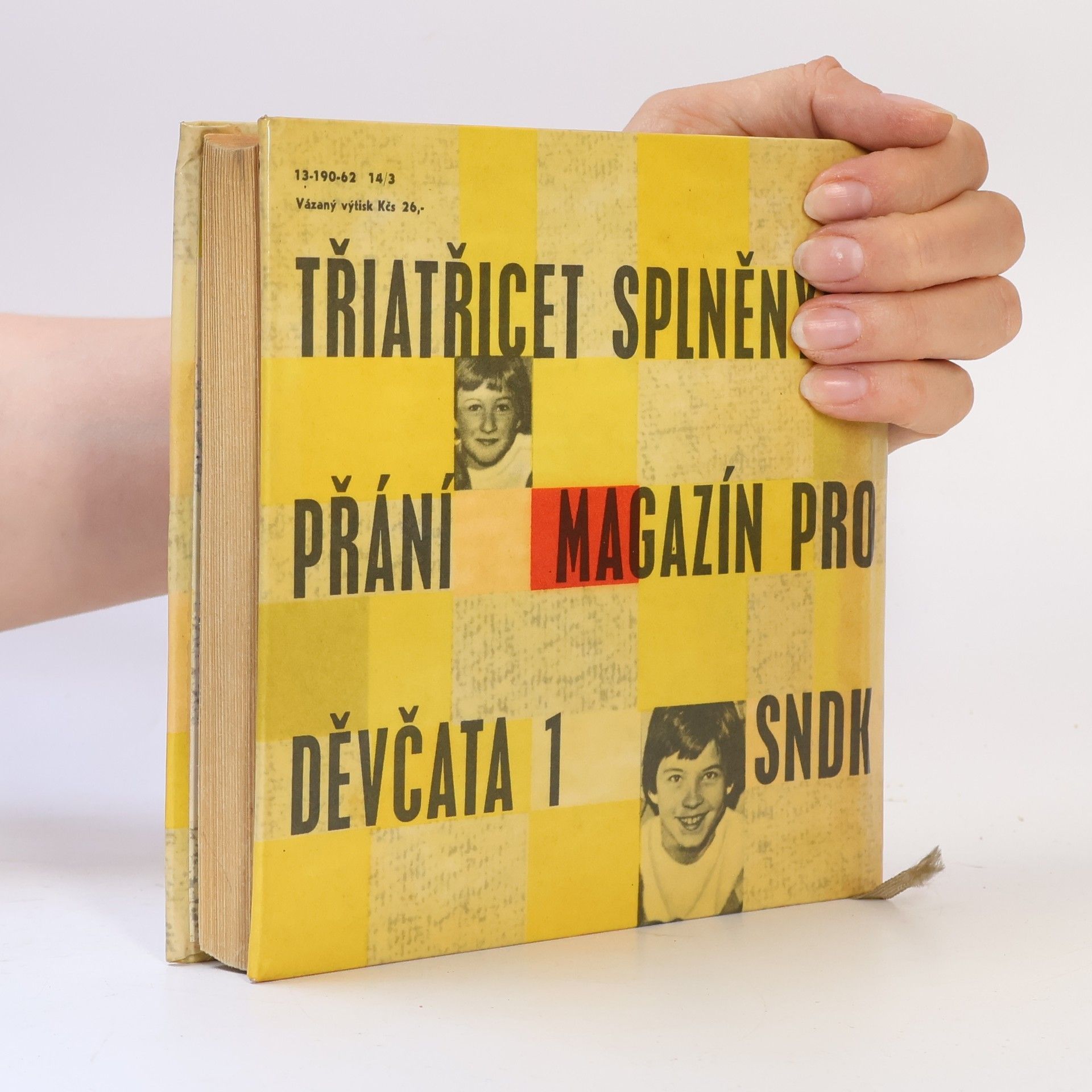 Alena Santarová Třiatřicet splněných přání