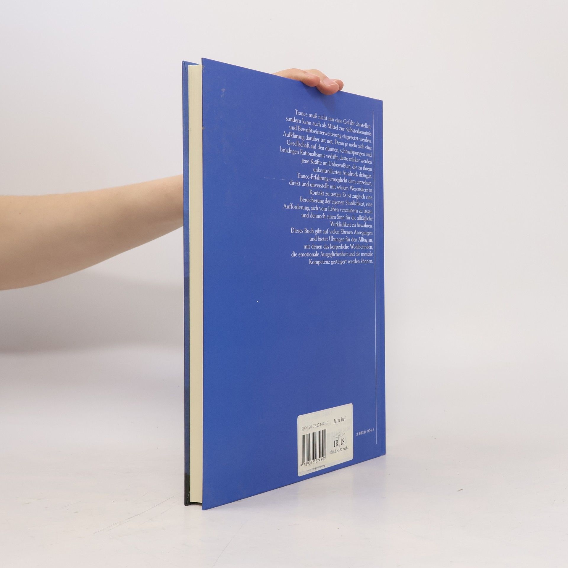 Kay Hoffman Das Arbeitsbuch zur Trance