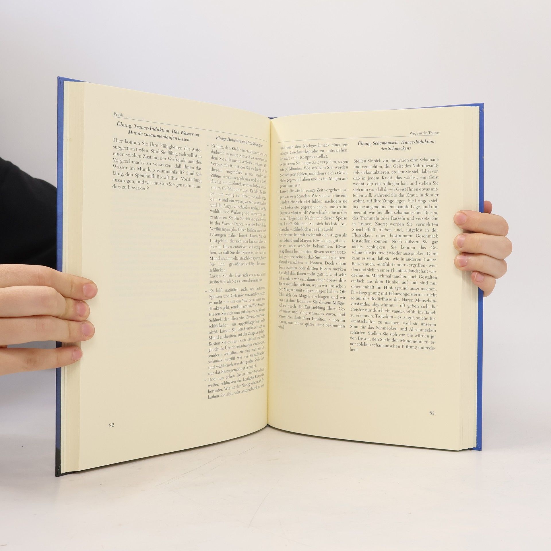 Kay Hoffman Das Arbeitsbuch zur Trance