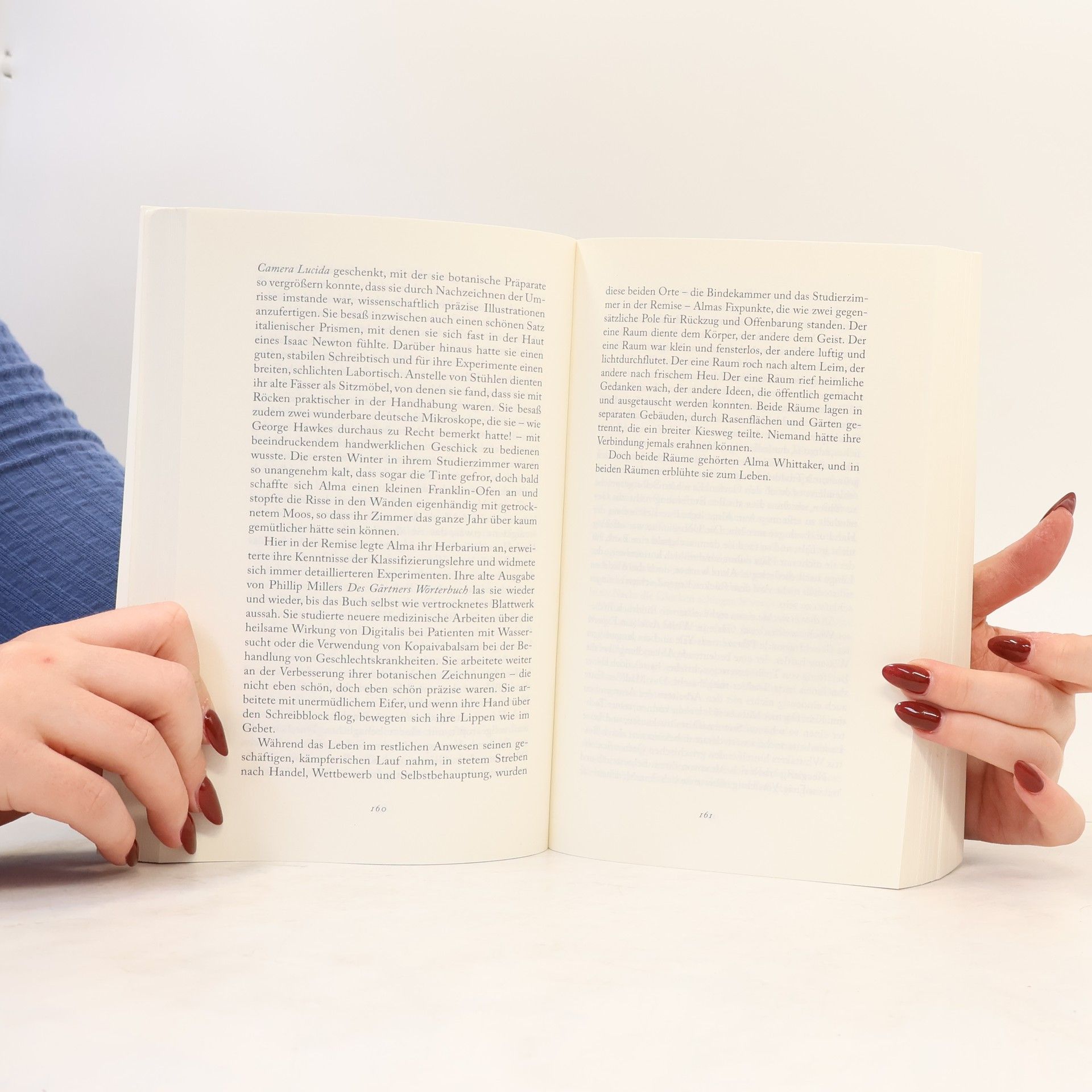 Elizabeth Gilbert Das Wesen der Dinge und der Liebe