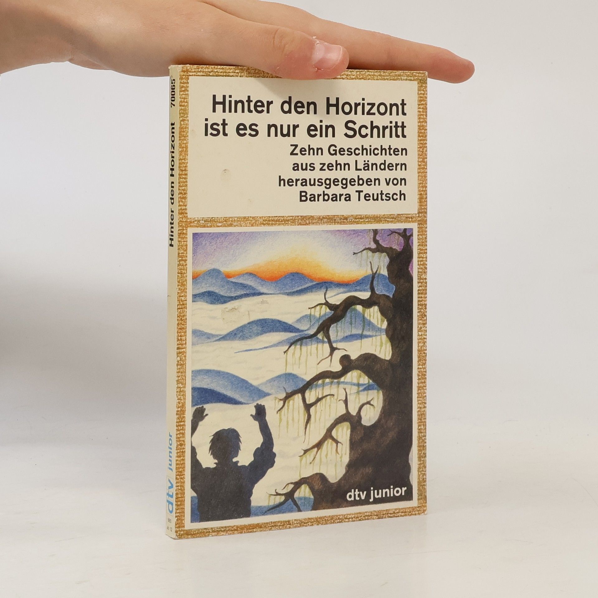 dtv junior: Hinter den Horizont ist es nur ein Schritt. Zehn Geschichten aus zehn Ländern