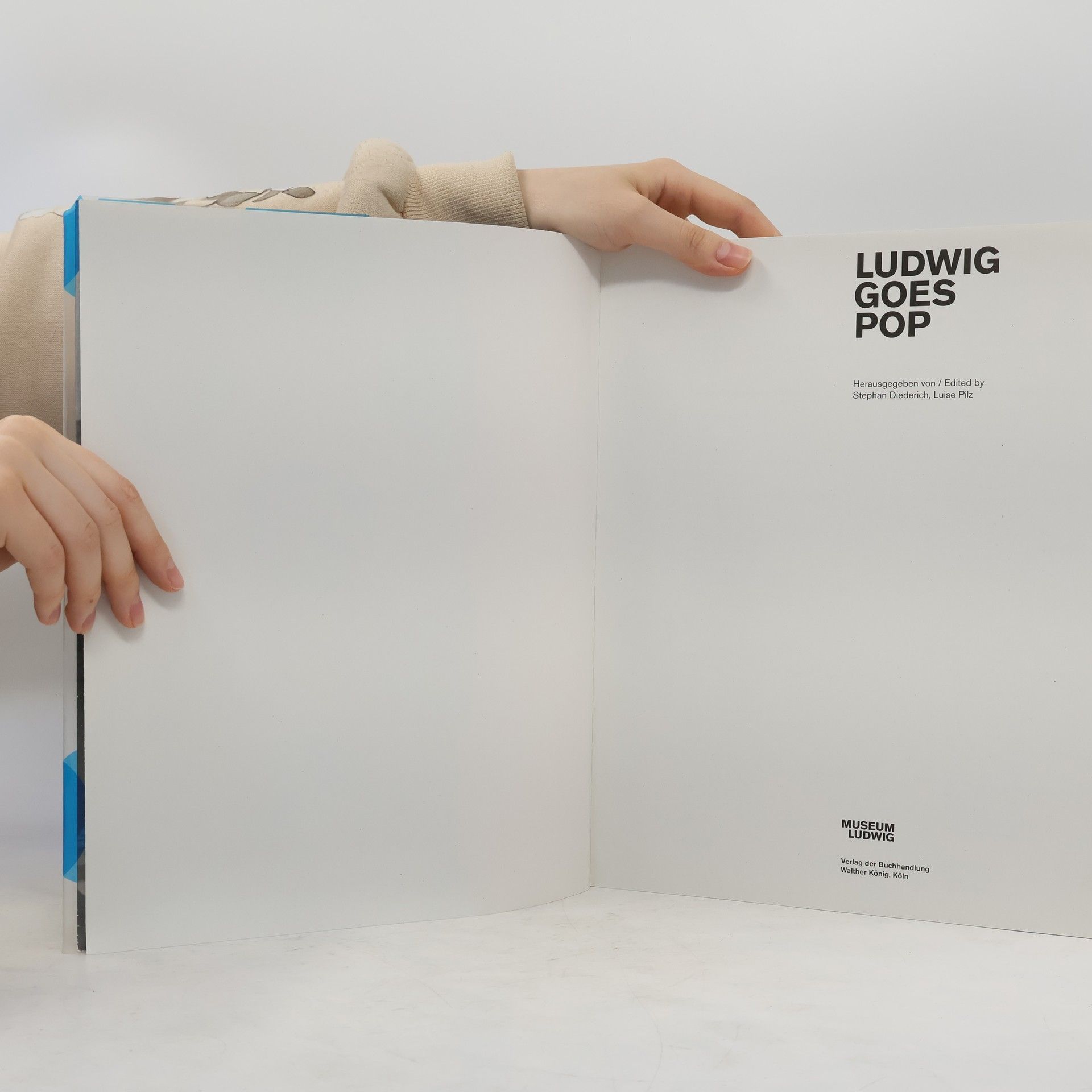 Stephan Diederich Ludwig Goes Pop