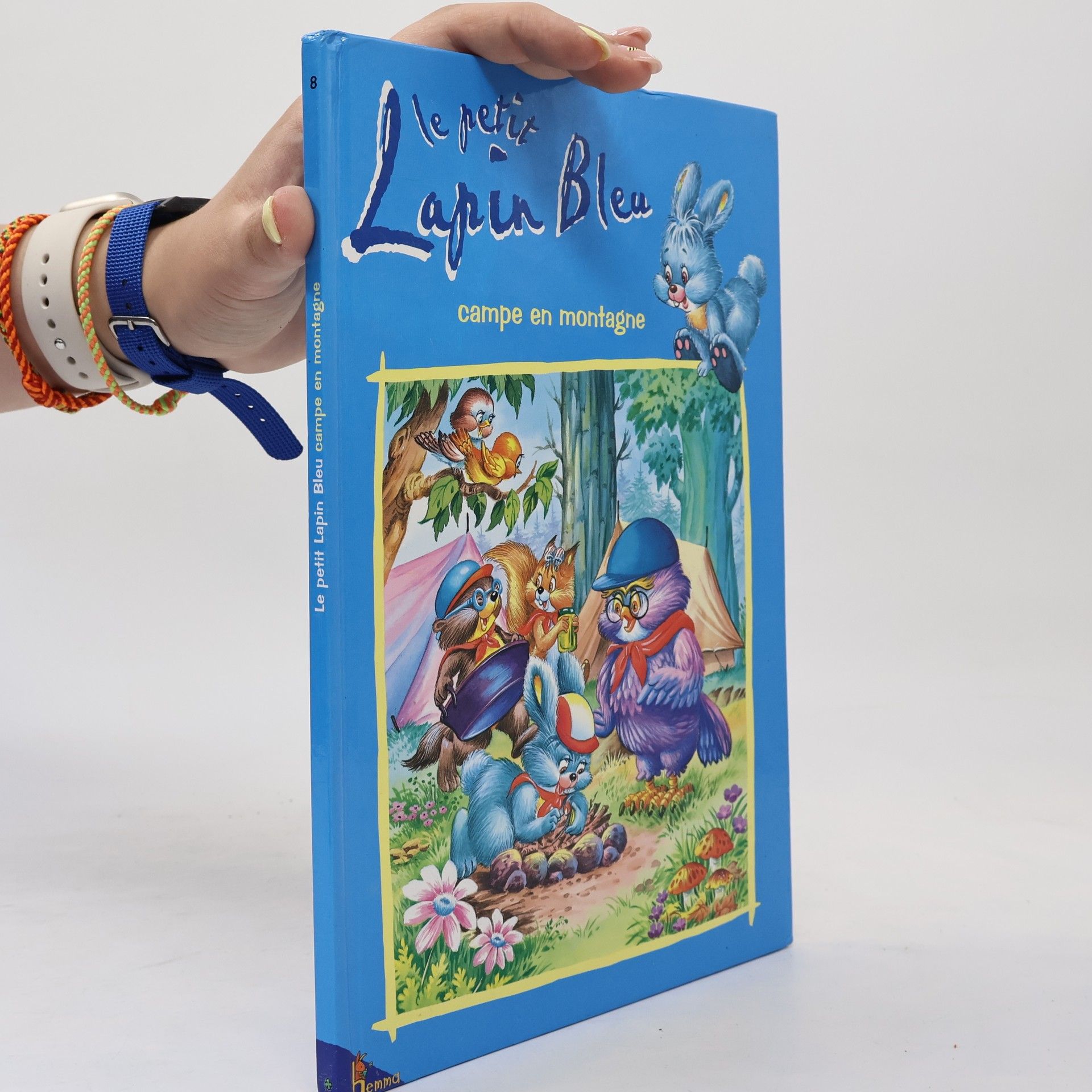 Kolektiv autorů Le petit Lapin Bleu campe en montagne 8