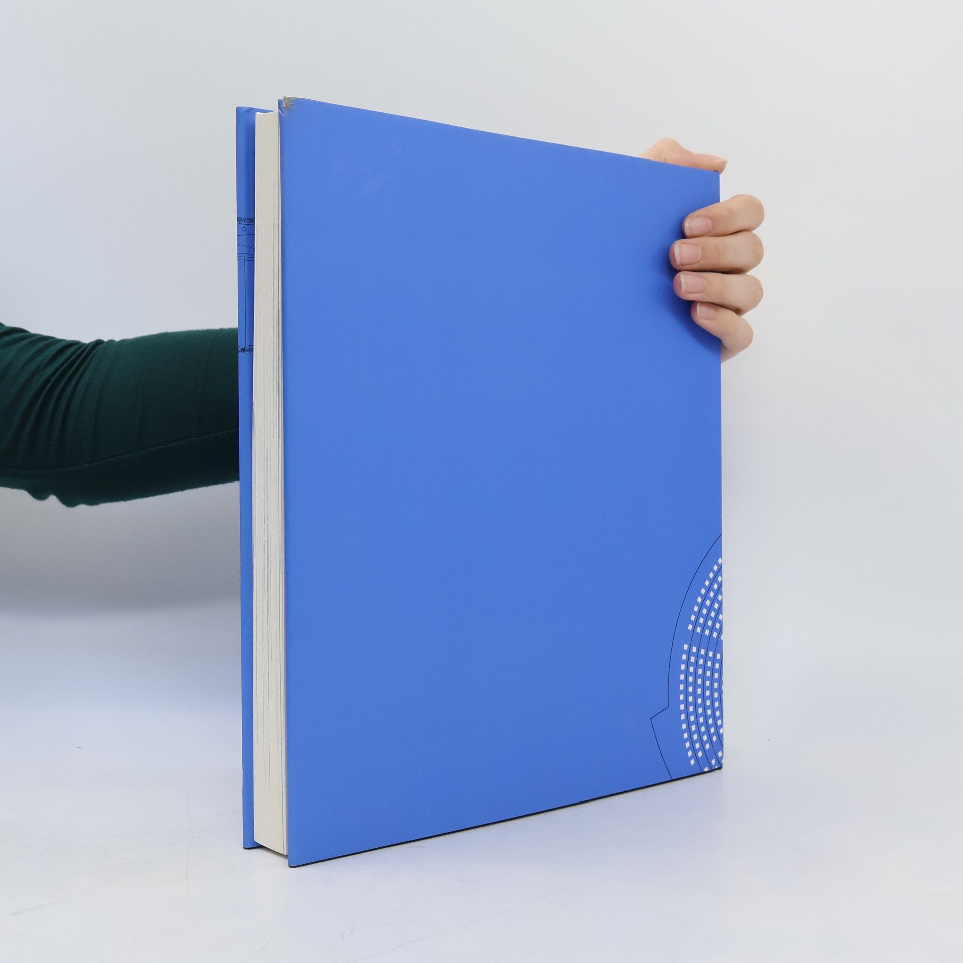 Ingeborg Flagge Architektur und Demokratie